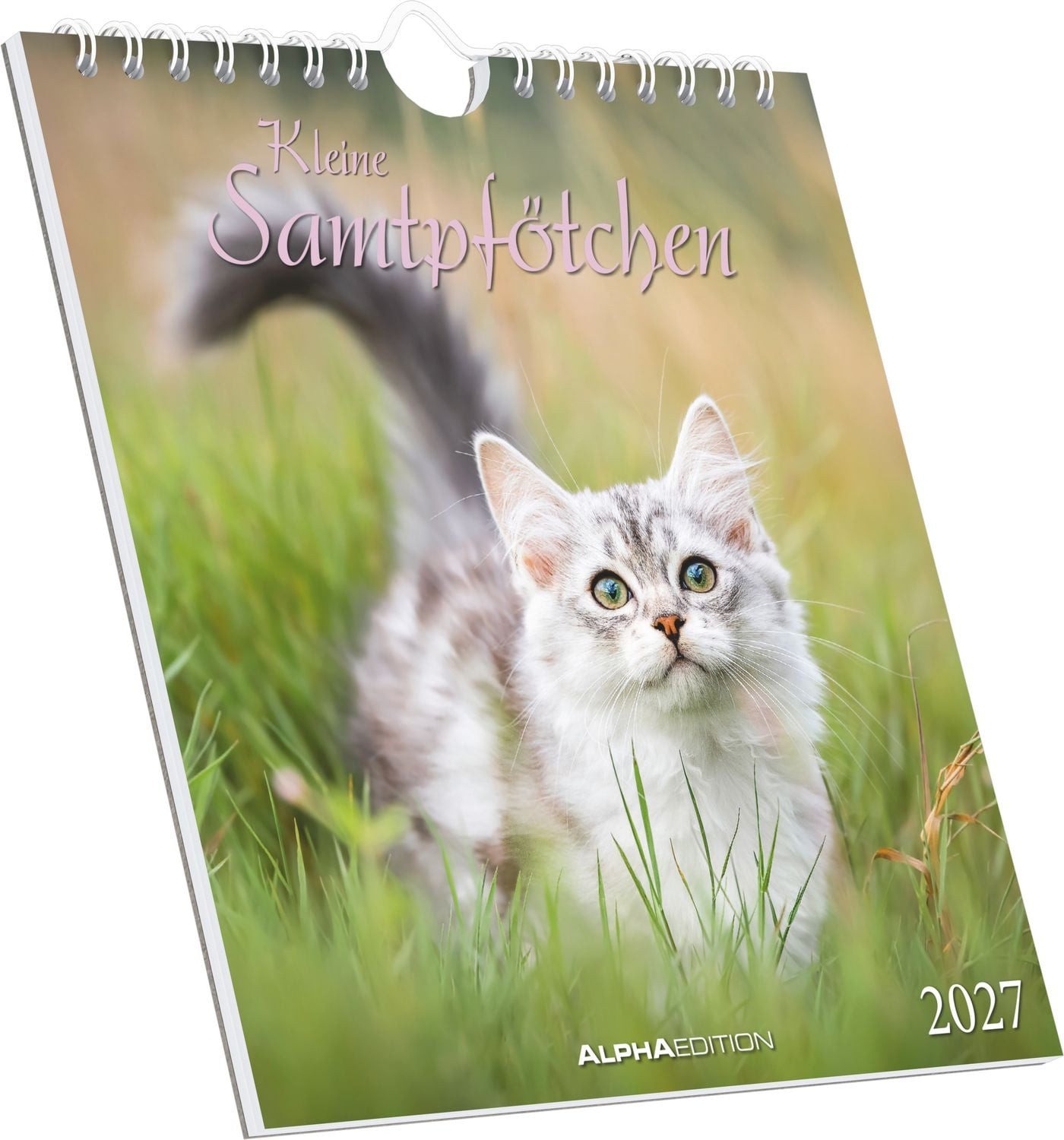 Terminplaner Kleine Samtpfötchen 2027
