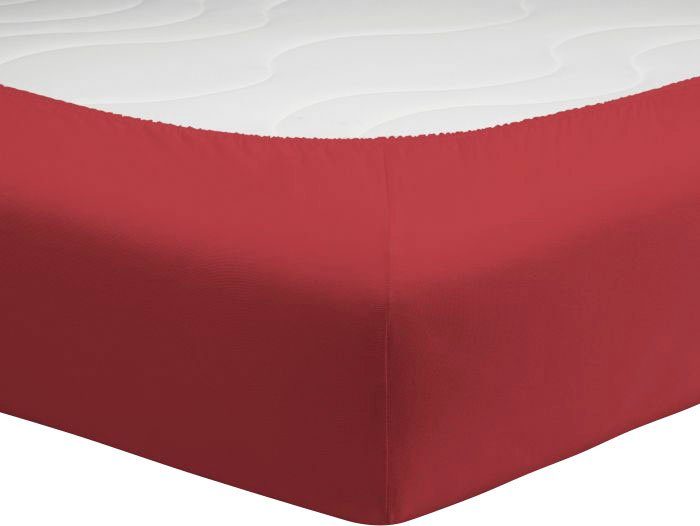 Schlafgut Spannbettlaken Schlafgut Mako Jersey Spannbetttuch günstig online kaufen