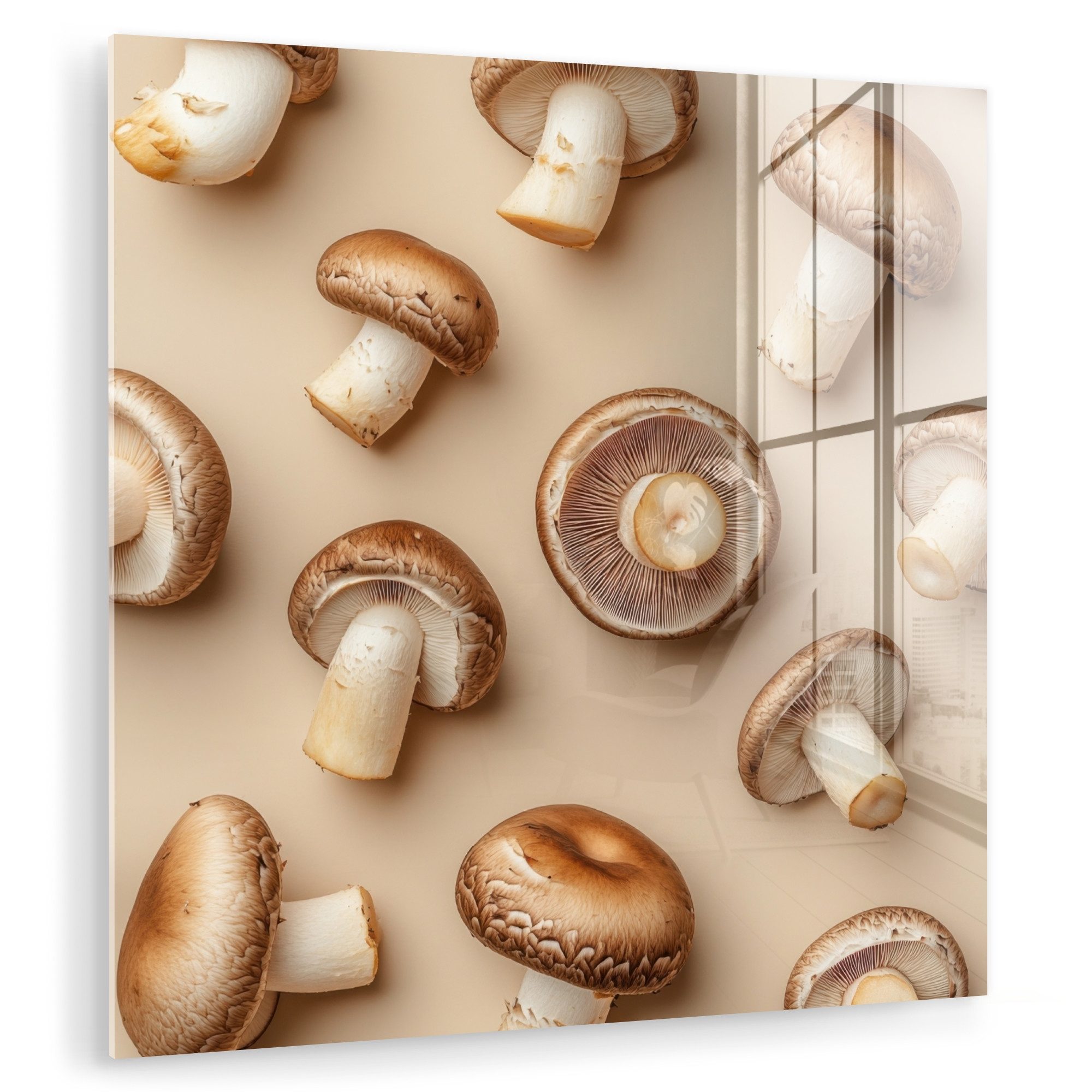 MuchoWow Acrylglasbild Kastanienpilze - Beige, Inkl. günstig online kaufen