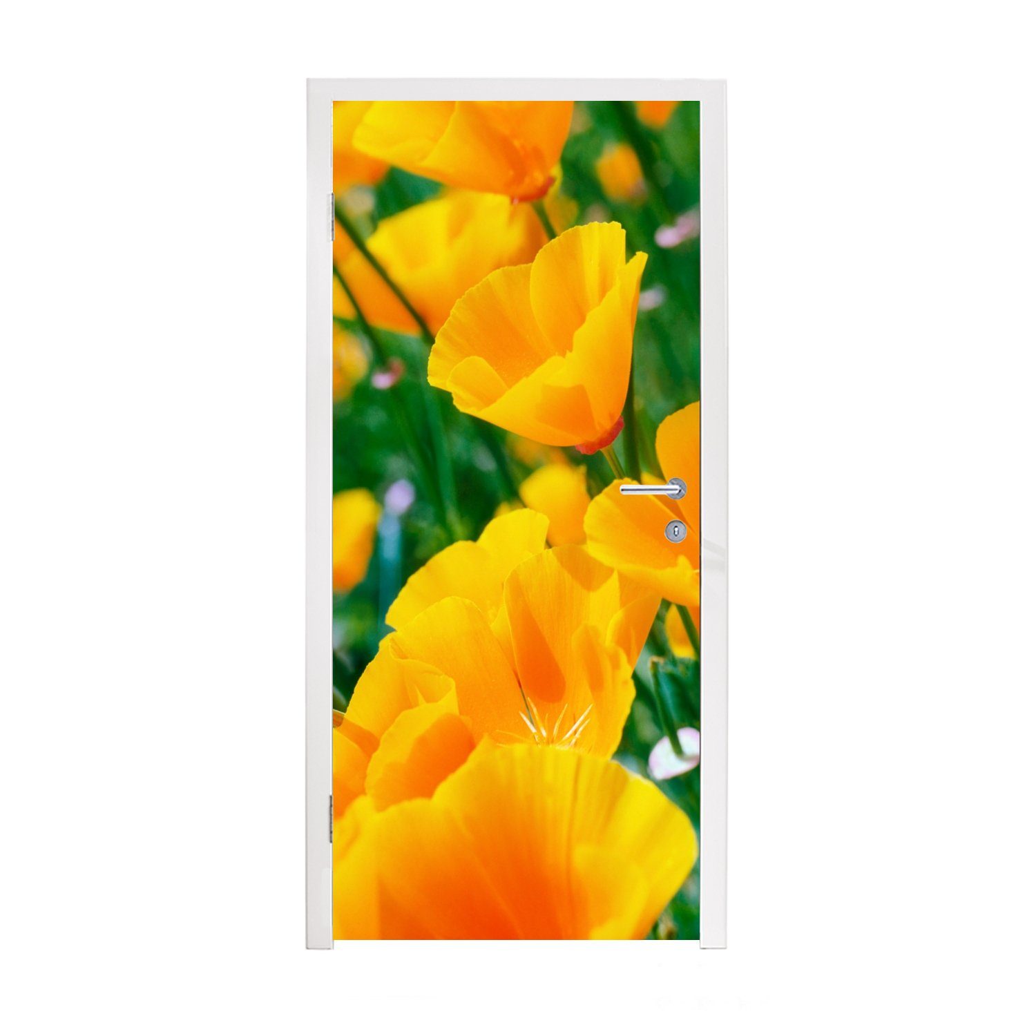 MuchoWow Türtapete Blumen - Garten - Orange, Matt, bedruckt, (1 St), Fototapete für Tür, Türaufkleber, 75x205 cm