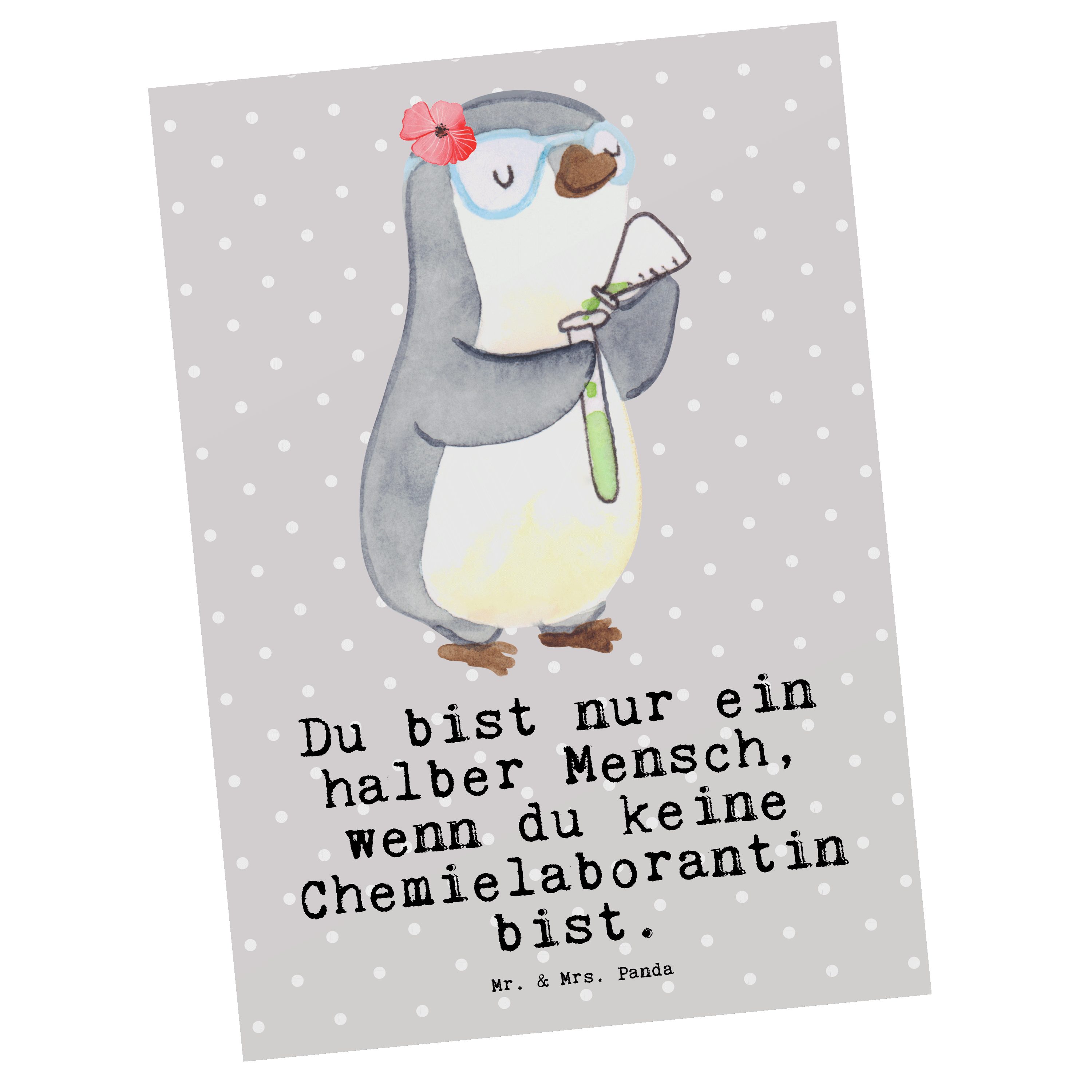 Mr. & Mrs. Herz - Chemieunterricht - Postkarte Pastell Chemielaborantin mit Panda Geschenk, Grau