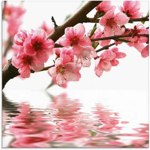Artland Glasbild Pfirsichblüten reflektieren im Wasser, Blumen (1 St), in verschiedenen Größen