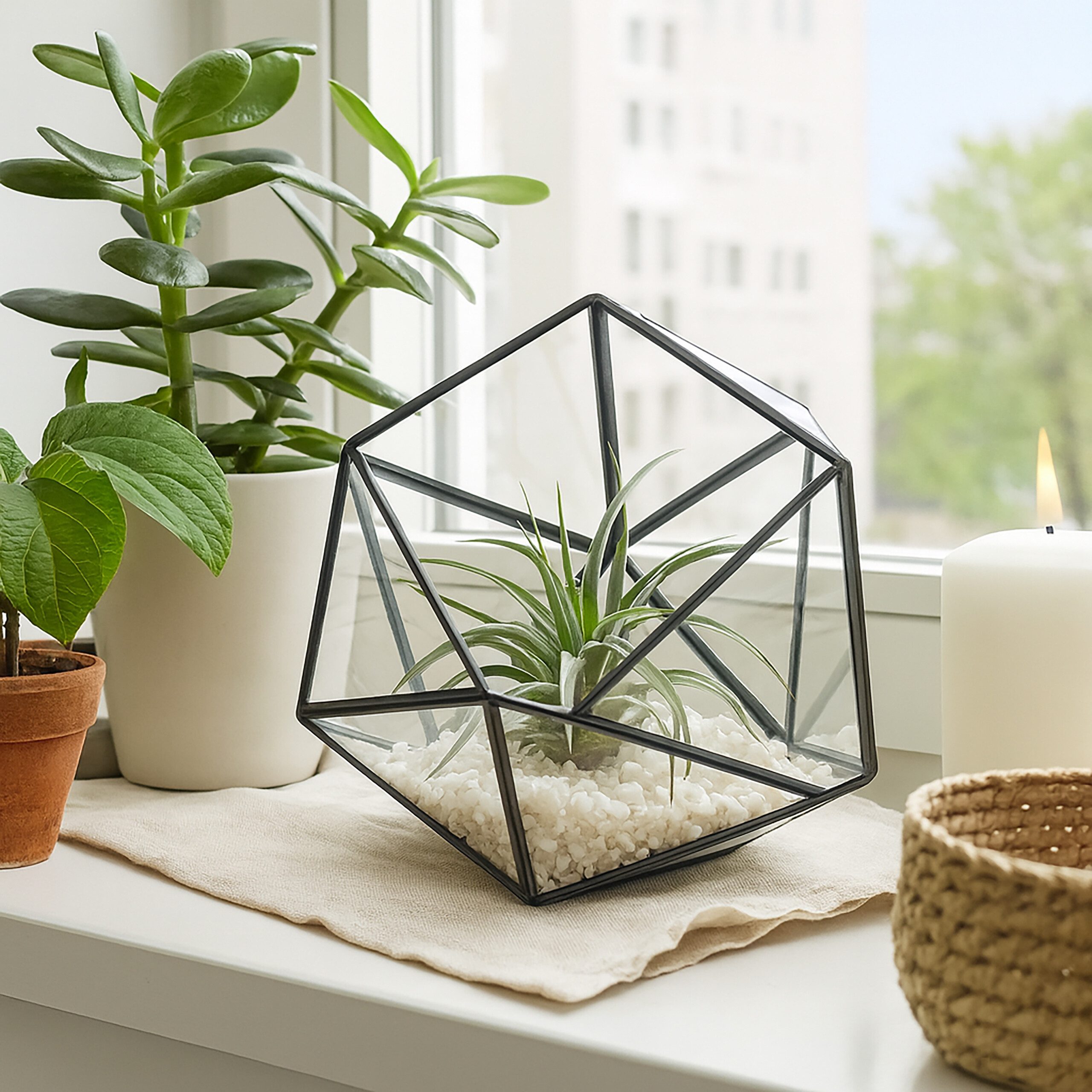 relaxdays Dekovase Geometrisches Pflanzenterrarium aus Glas (1 St), schwarz