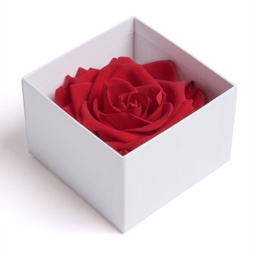 Kunstblume Infinity Rose in Box weiß I LOVE YOU Geschenk Frauen Liebesbeweis Rose, ROSEMARIE SCHULZ Heidelberg, Höhe 6 cm, Rose haltbar bis zu 3 Jahre