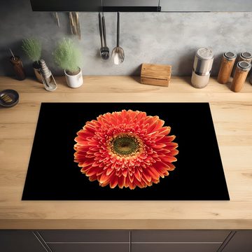 MuchoWow Herdblende-/Abdeckplatte Eine orangefarbene Gerbera-Blüte vor schwarzem Hintergrund, Vinyl, (1 tlg), 77x51 cm, Ceranfeldabdeckung, Arbeitsplatte für küche