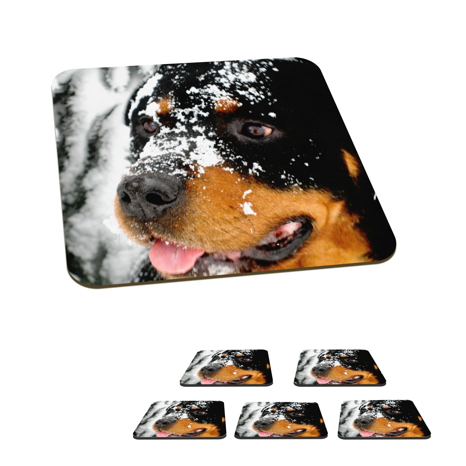 MuchoWow Glasuntersetzer Schöner Rottweiler Glasuntersetzer, Gläser, Zubehör 6-tlg., für Korkuntersetzer, Tasse Untersetzer, im Tischuntersetzer, Schnee