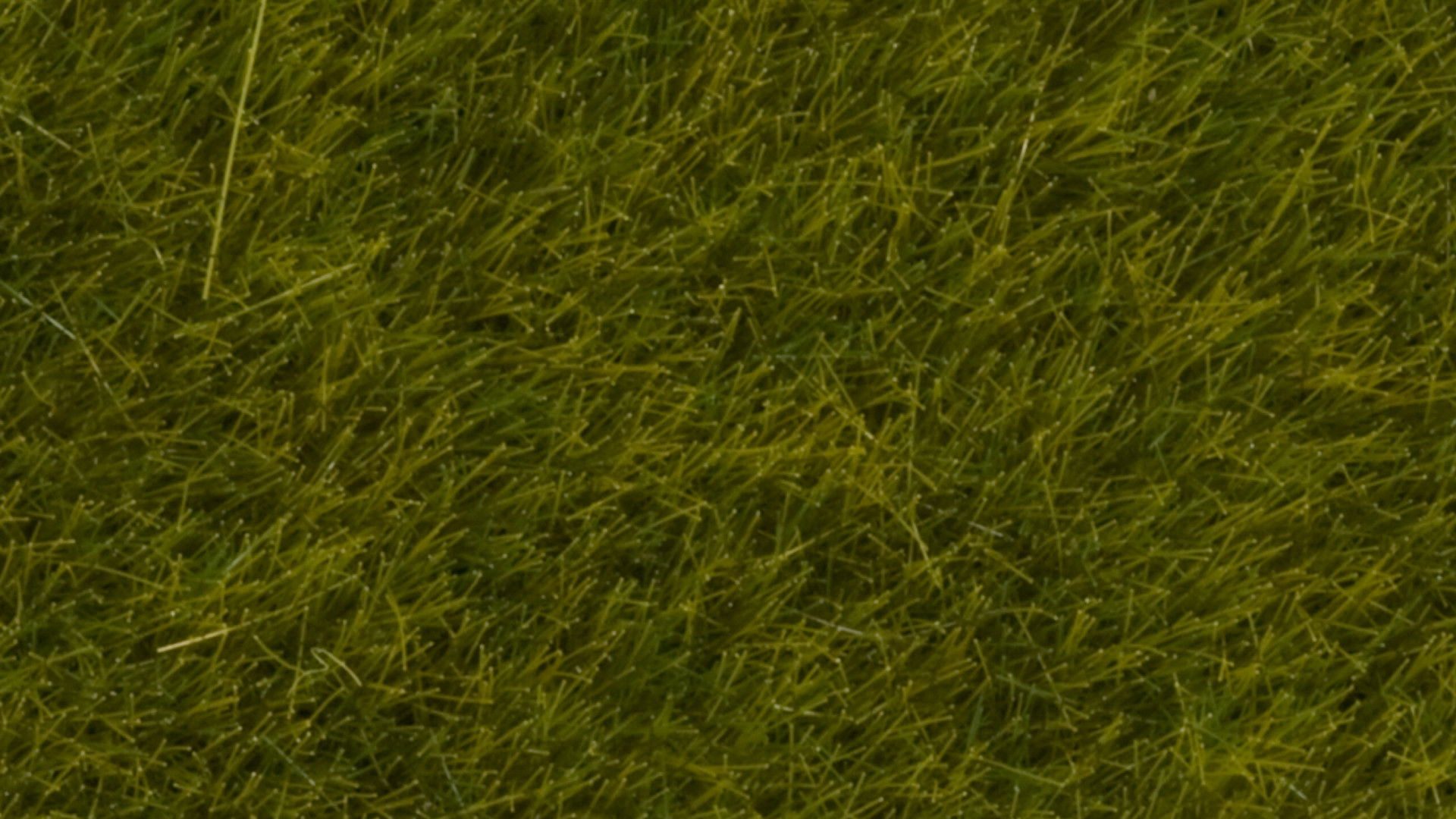 NOCH Modelleisenbahn-Grasfasern Wildgras „Wiese“, statisches Gras, 6 mm für naturg, Streu