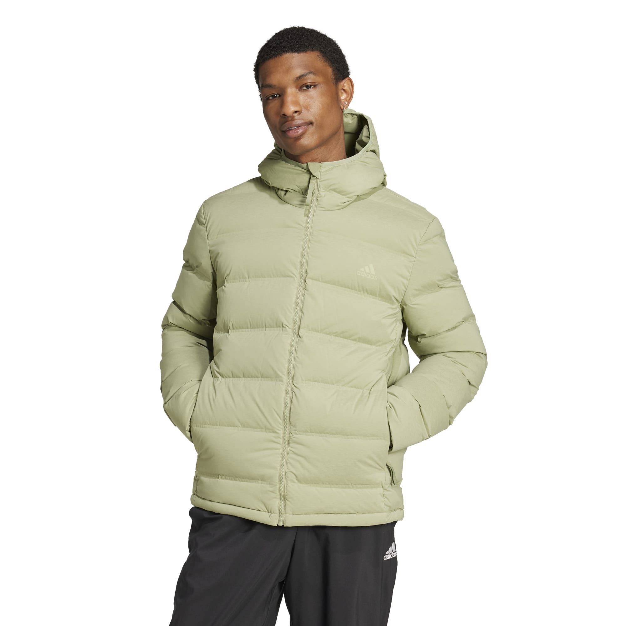 adidas Performance Daunenjacke adidas Herren Daunenjacke günstig online kaufen