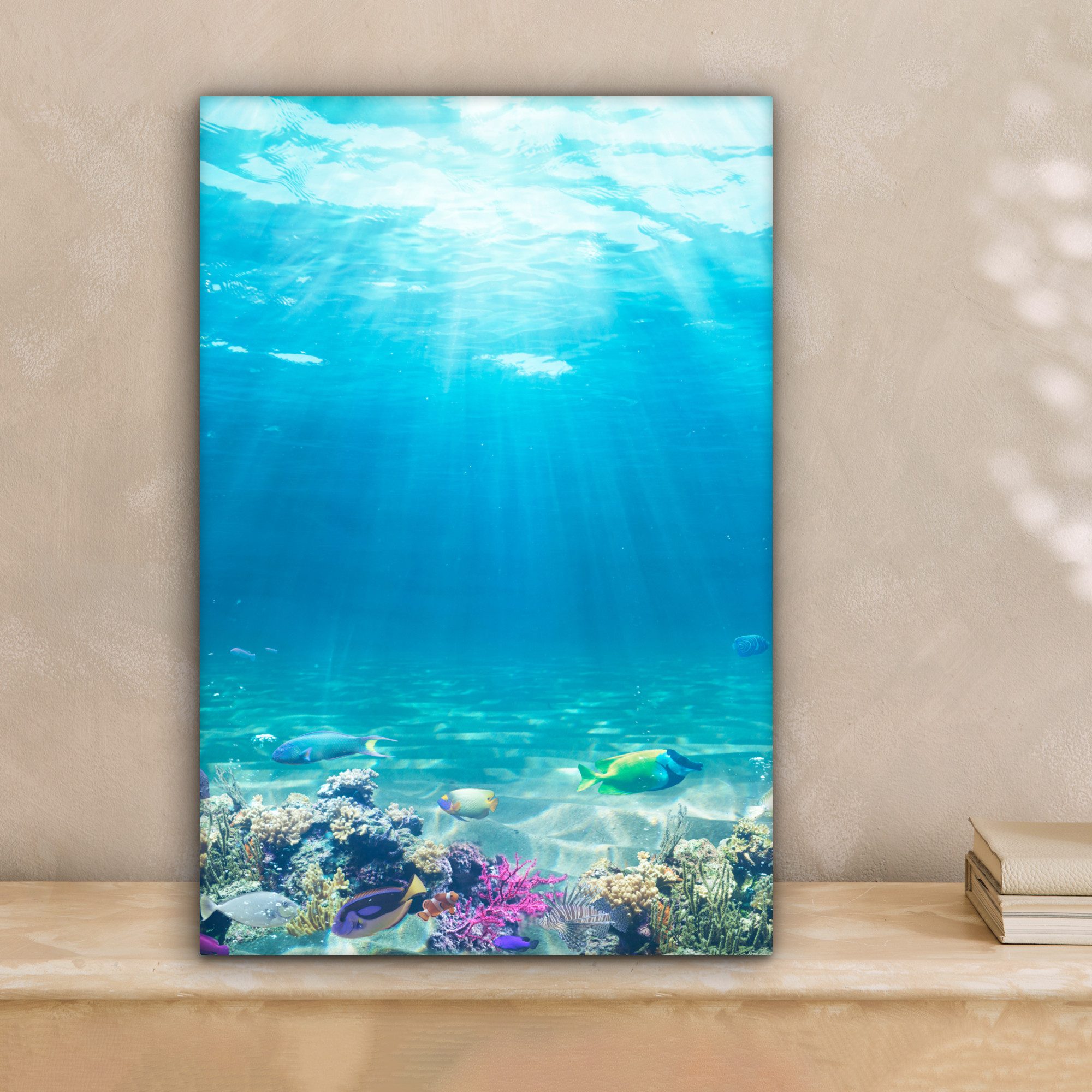 OneMillionCanvasses® Leinwandbild Unterwasserwelt - Meerestiere - Wasser - günstig online kaufen