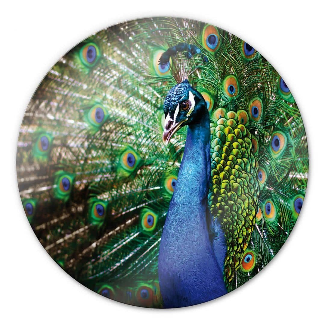K&L Wall Art Glasbild Glas Wandbild günstig online kaufen