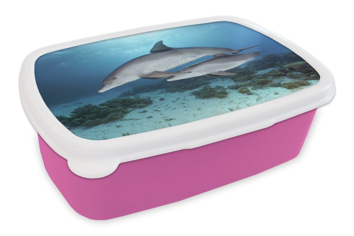 für - rosa Delfin Kunststoff - MuchoWow Kinder, Mädchen, Erwachsene, Meer, Brotbox (2-tlg), Snackbox, Kunststoff, Lunchbox Kalb Brotdose
