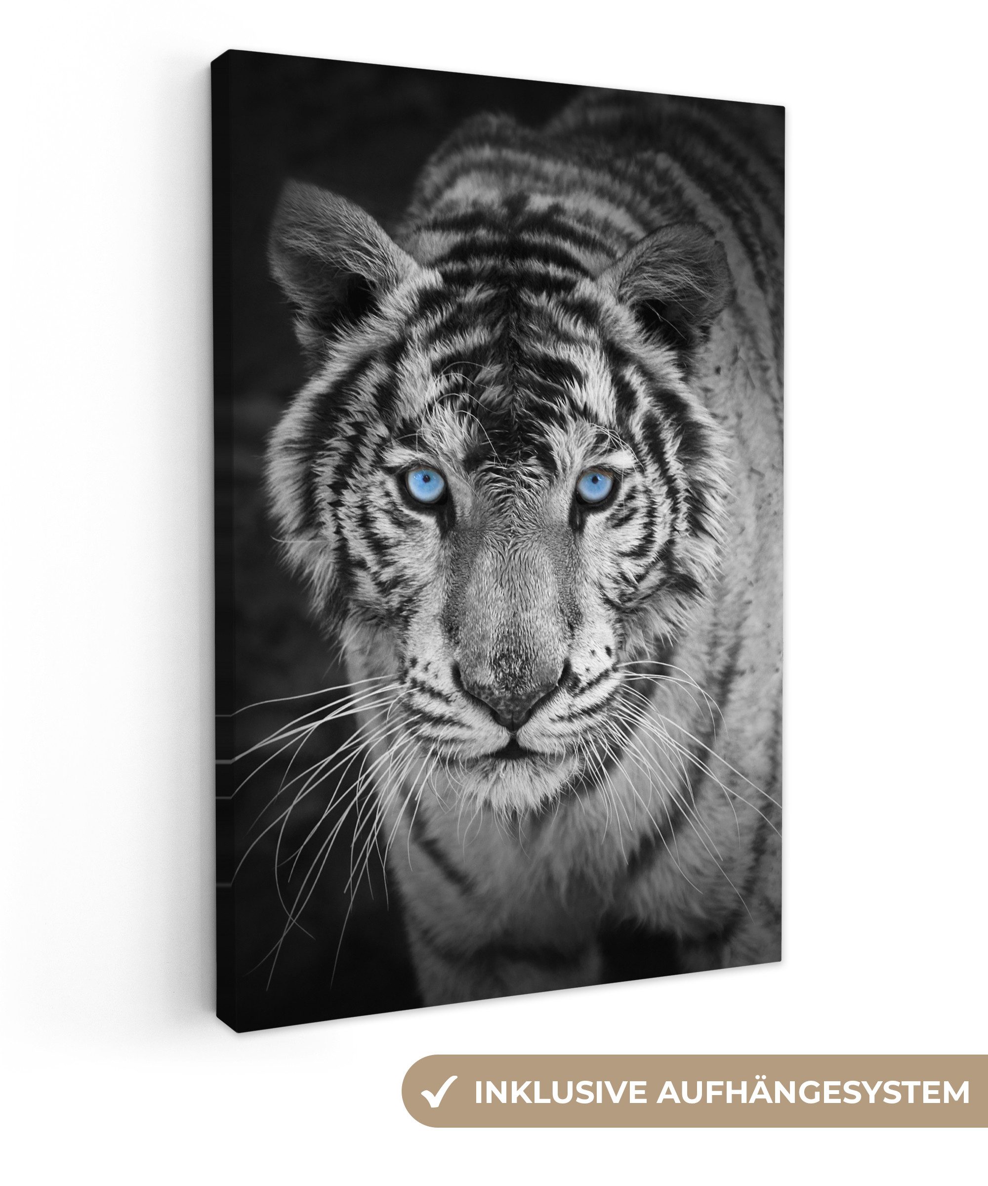 OneMillionCanvasses® Leinwandbild Tiere - Tiger - günstig online kaufen