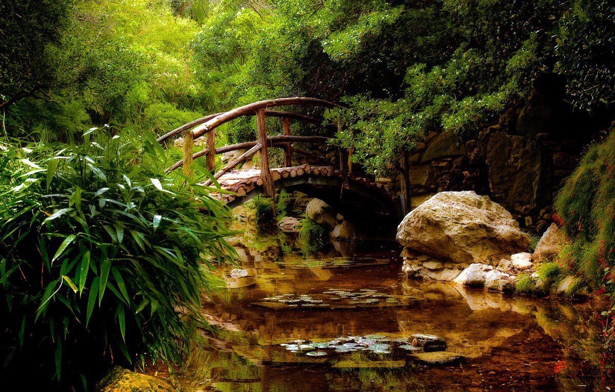 Papermoon Fototapete Brücke im Wald