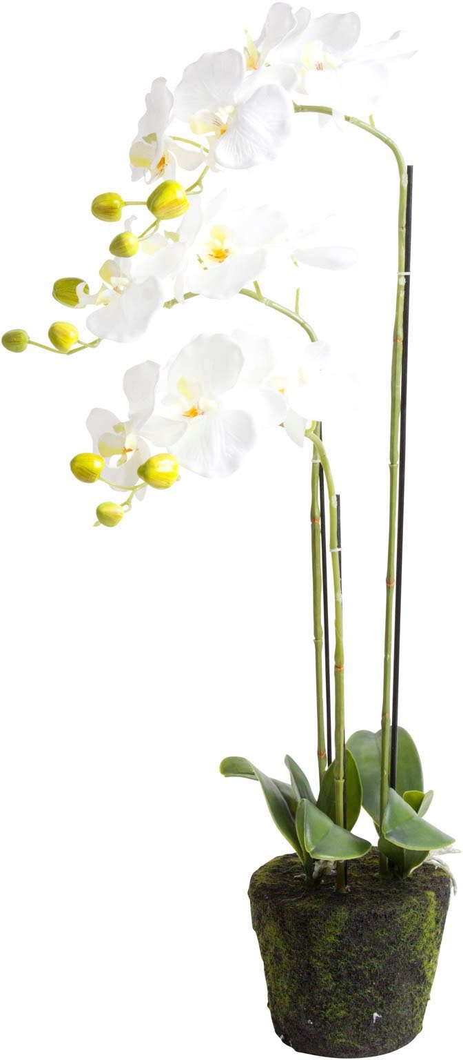 Kunstorchidee Höhe Orchidee Orchidee, Botanic-Haus, cm 75