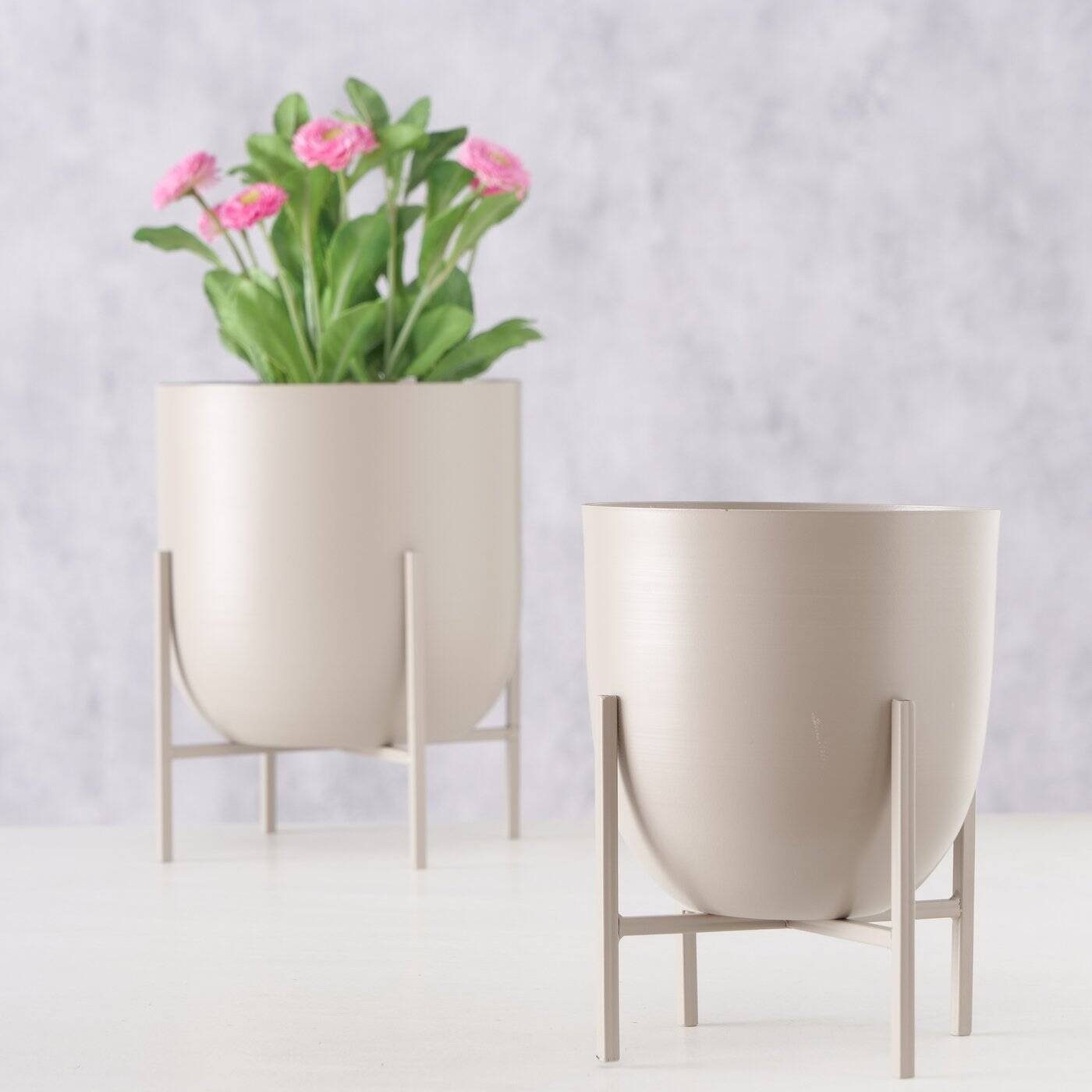 BOLTZE GRUPPE GmbH Blumentopf günstig online kaufen