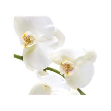 liwwing Fototapete Fototapete Orchidee Blumen Blumenranke Weiß Natur Pflanzen Abstrakt no. 201, Berge