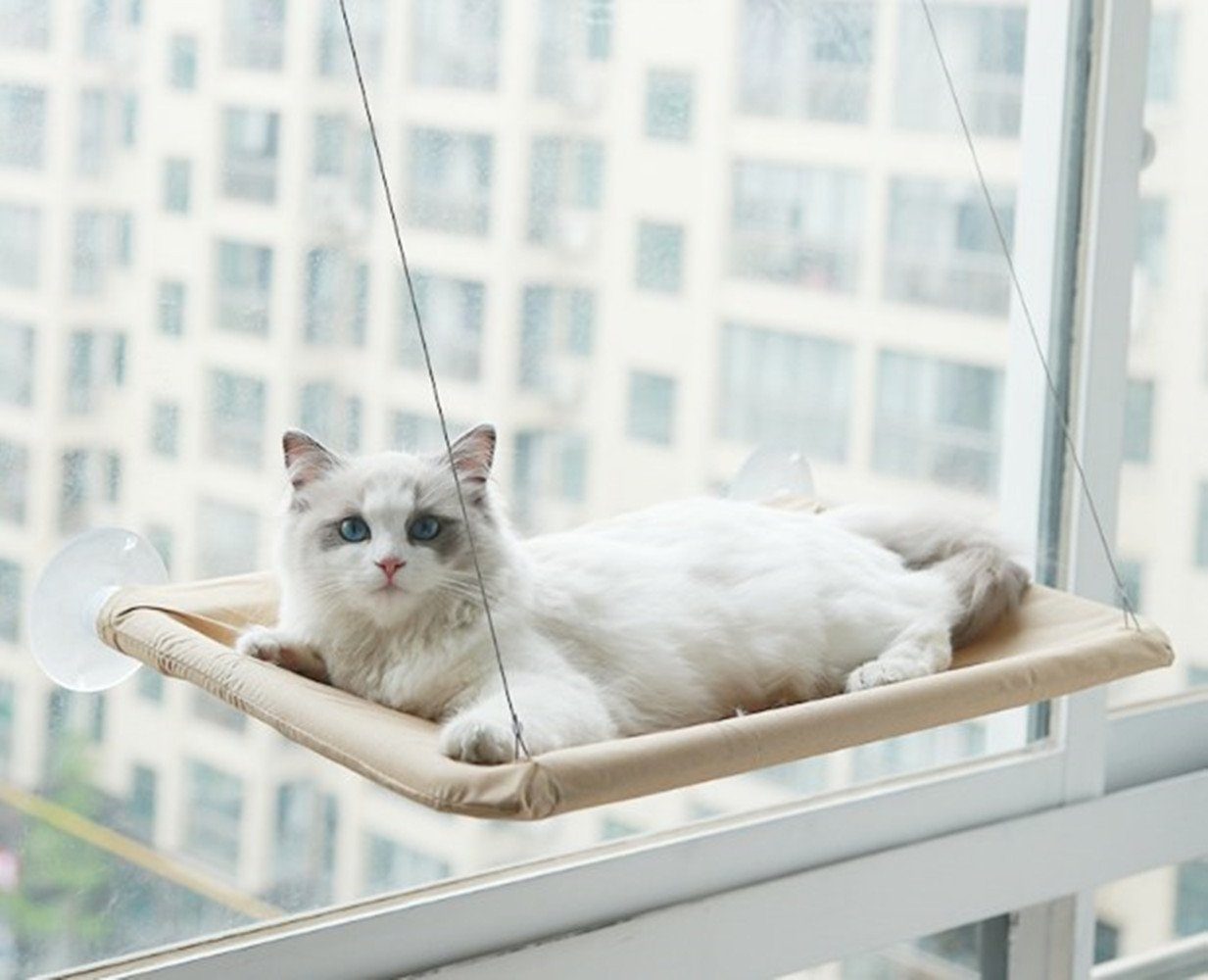 XDeer Katzen-Hängematte Katzen-Hängematte Fensterliege,Katzen Fensterbrett, günstig online kaufen