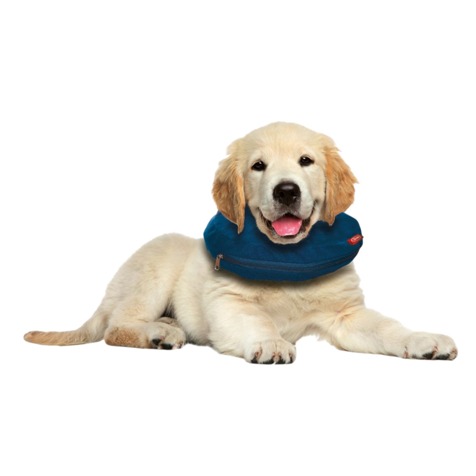 AQUA NOVA Schutzkragen Aufblasbarer Schutzkragen Halskrause für Hunde Katzen Leck Wundschutz, Aufblasbar, Komfortkragen, Leck- & Wundschutz, Verstellbar