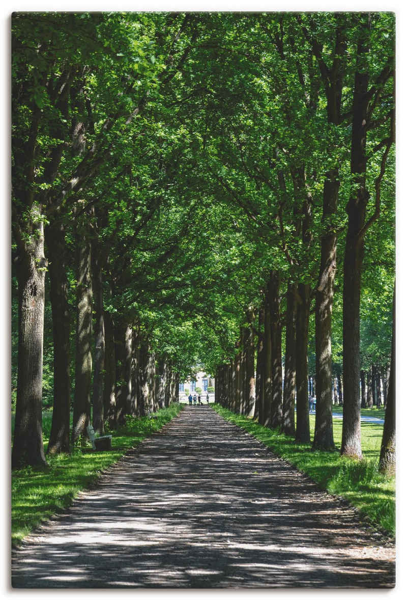 Artland Leinwandbild Allee in der Karlsaue in Kassel, Bäume (1 St), auf Keilrahmen gespannt