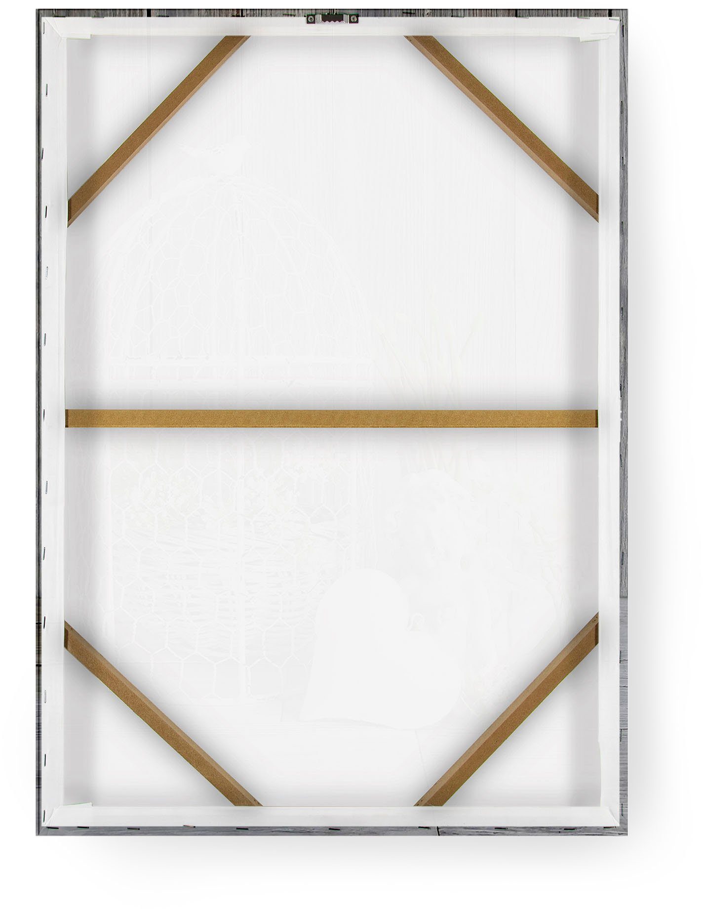 50x70cm, St) (1 Leinwandbild Art for Cage home the