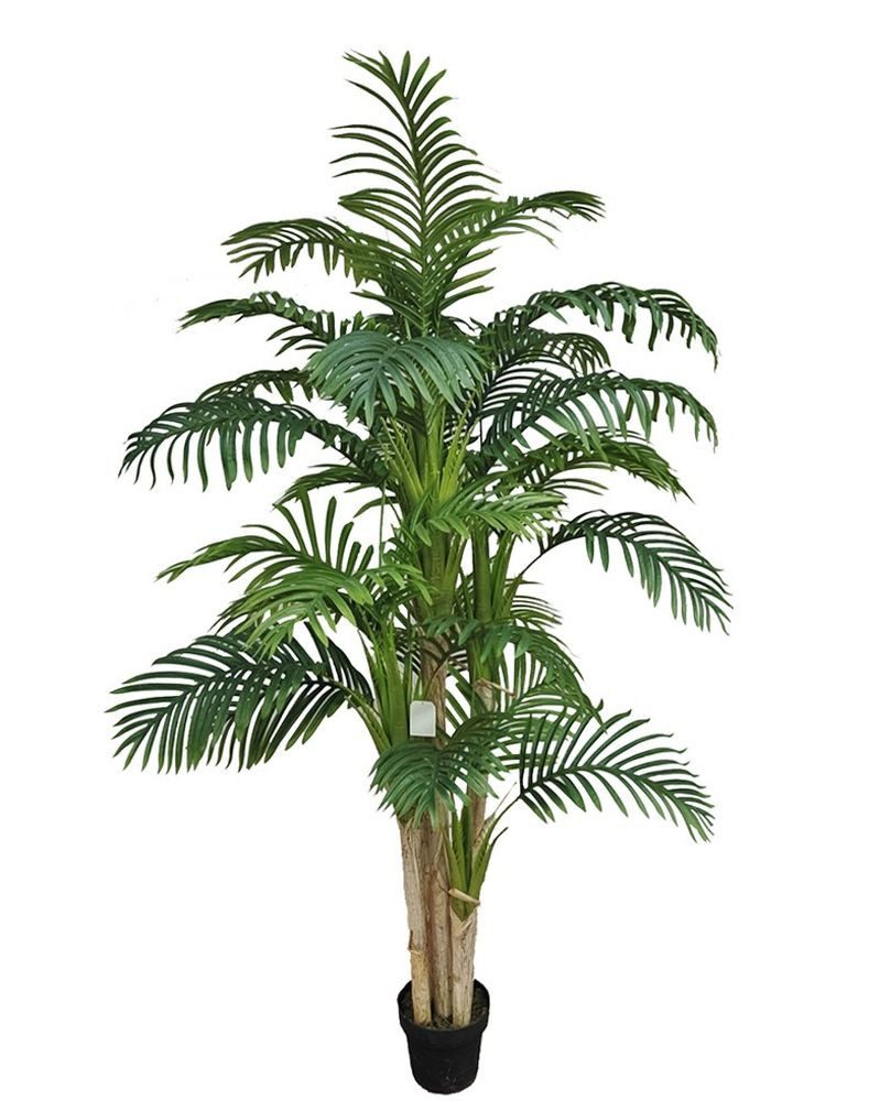 Kunstpalme Arekapalme 200cm 5 Stämme ZF Dekopalmen künstliche Palme Palmen günstig online kaufen