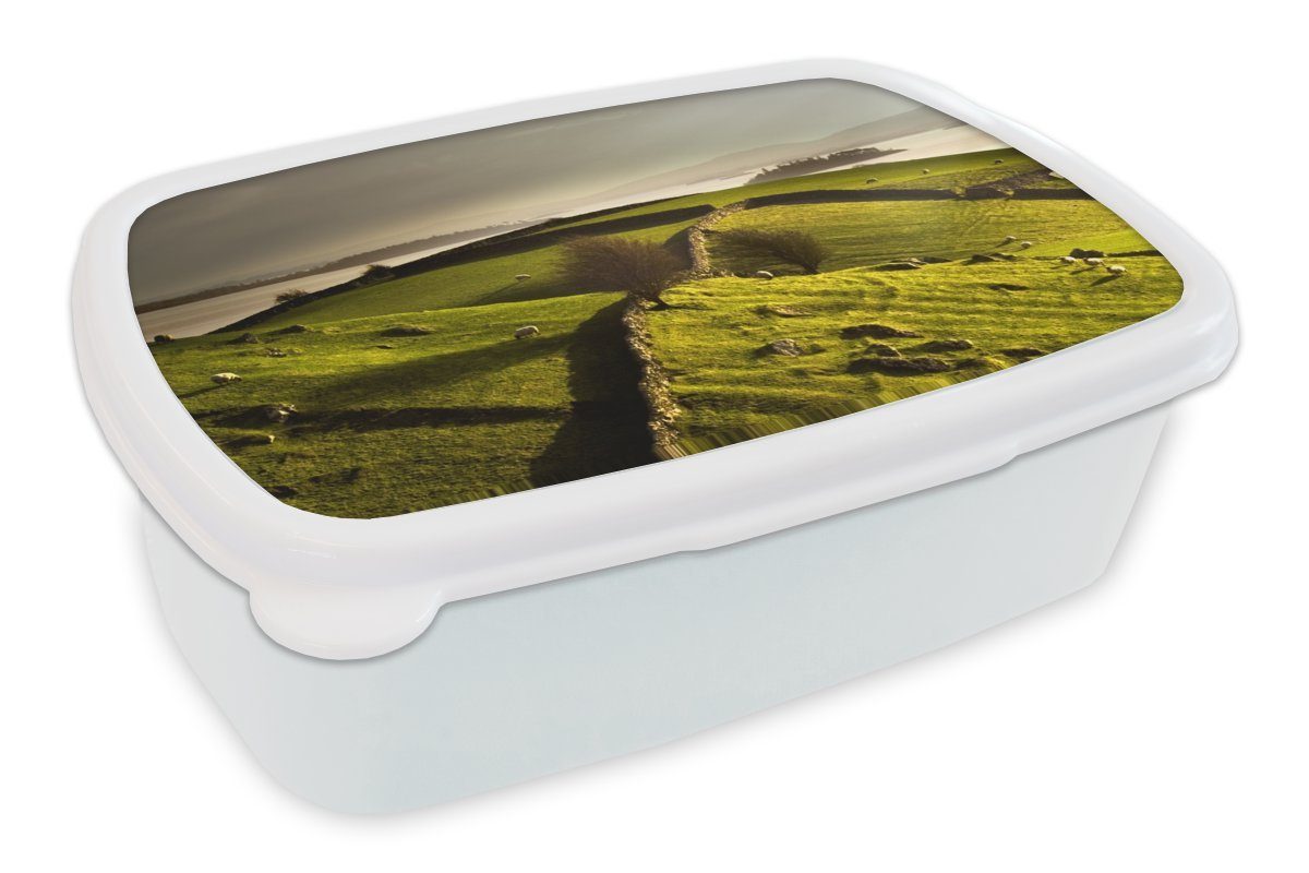 MuchoWow Lunchbox Steinmauern in der irischen Landschaft, Kunststoff, (2-tlg), Brotbox für Kinder und Erwachsene, Brotdose, für Jungs und Mädchen weiß | Lunchboxen
