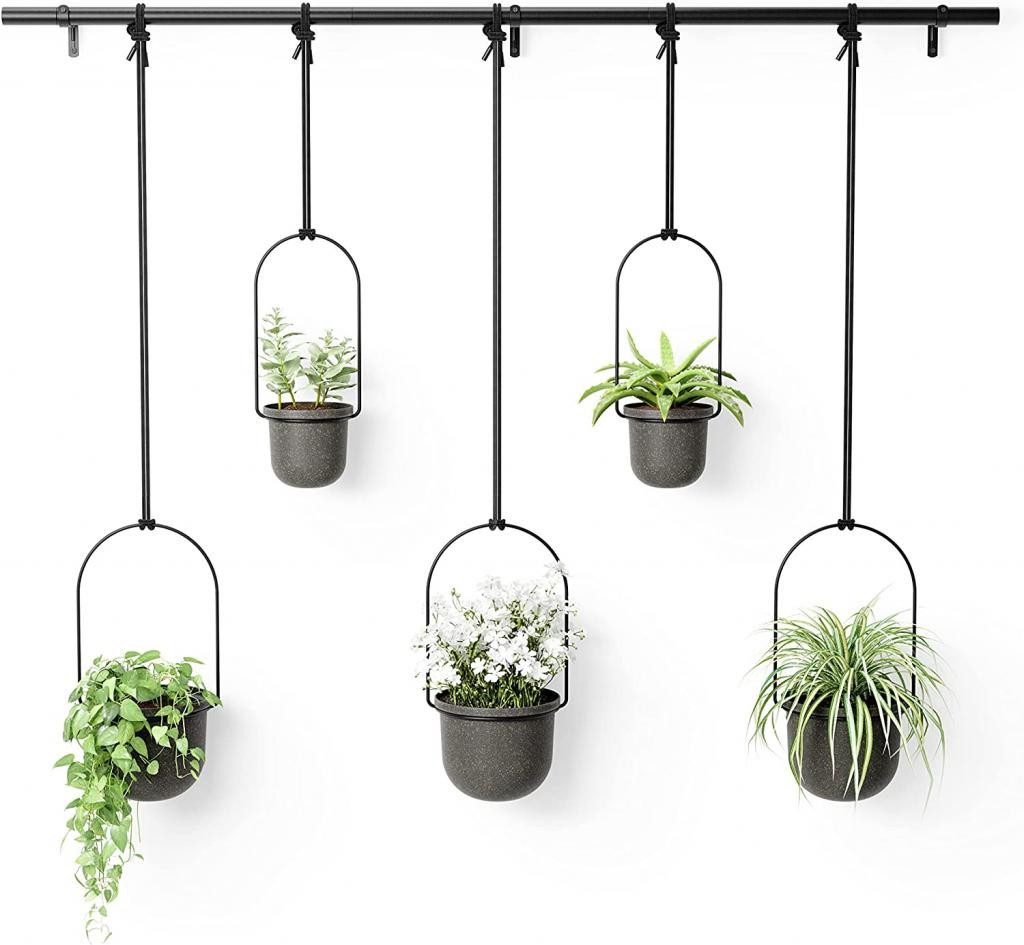 Umbra Blumenampel Triflora Hängeblumentopf, Wandvase, Blumentopf, Blumenamp günstig online kaufen