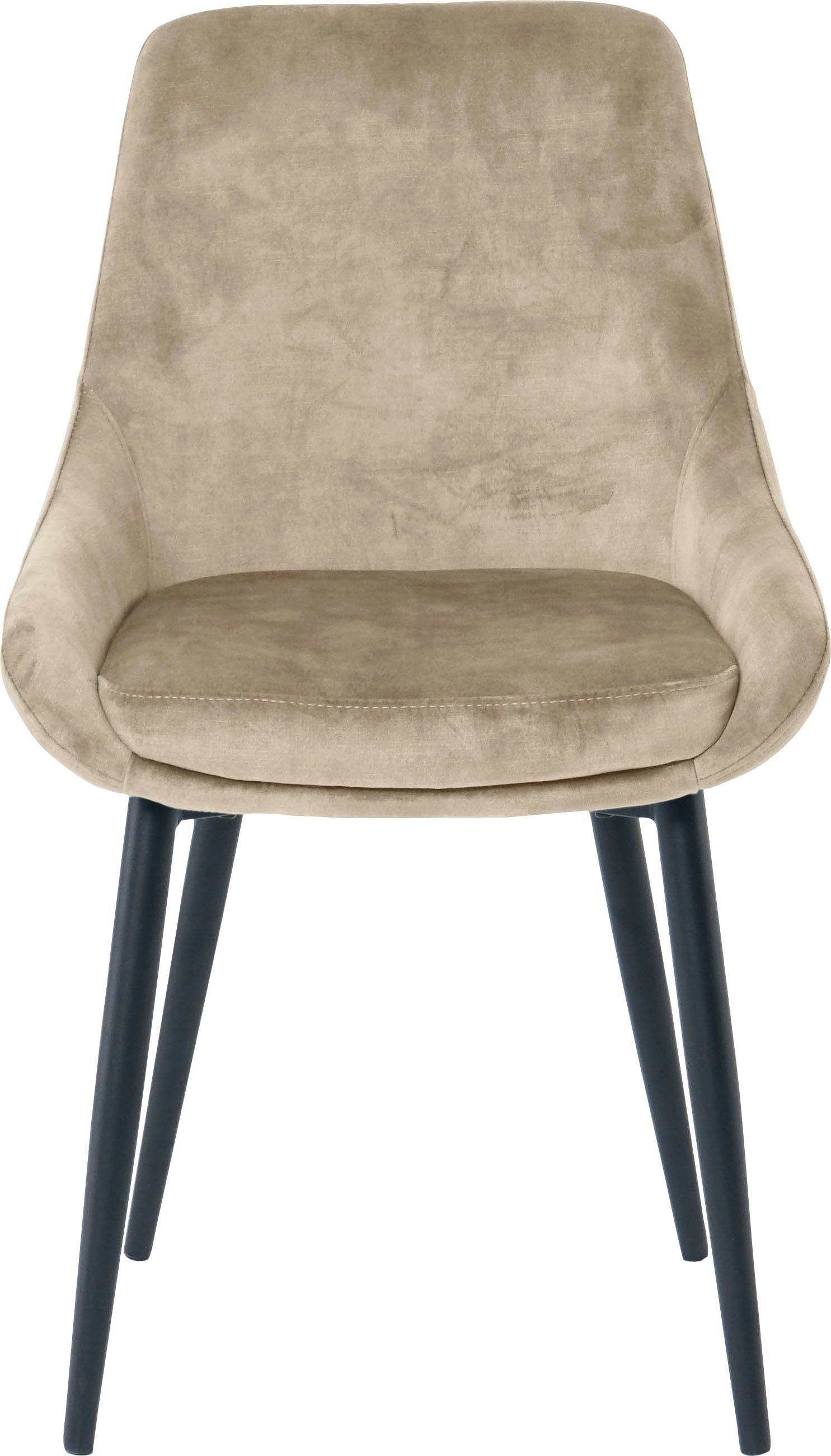 SIT Polsterstuhl (Set, 2 St), glamouröser Bezug in Samtoptik