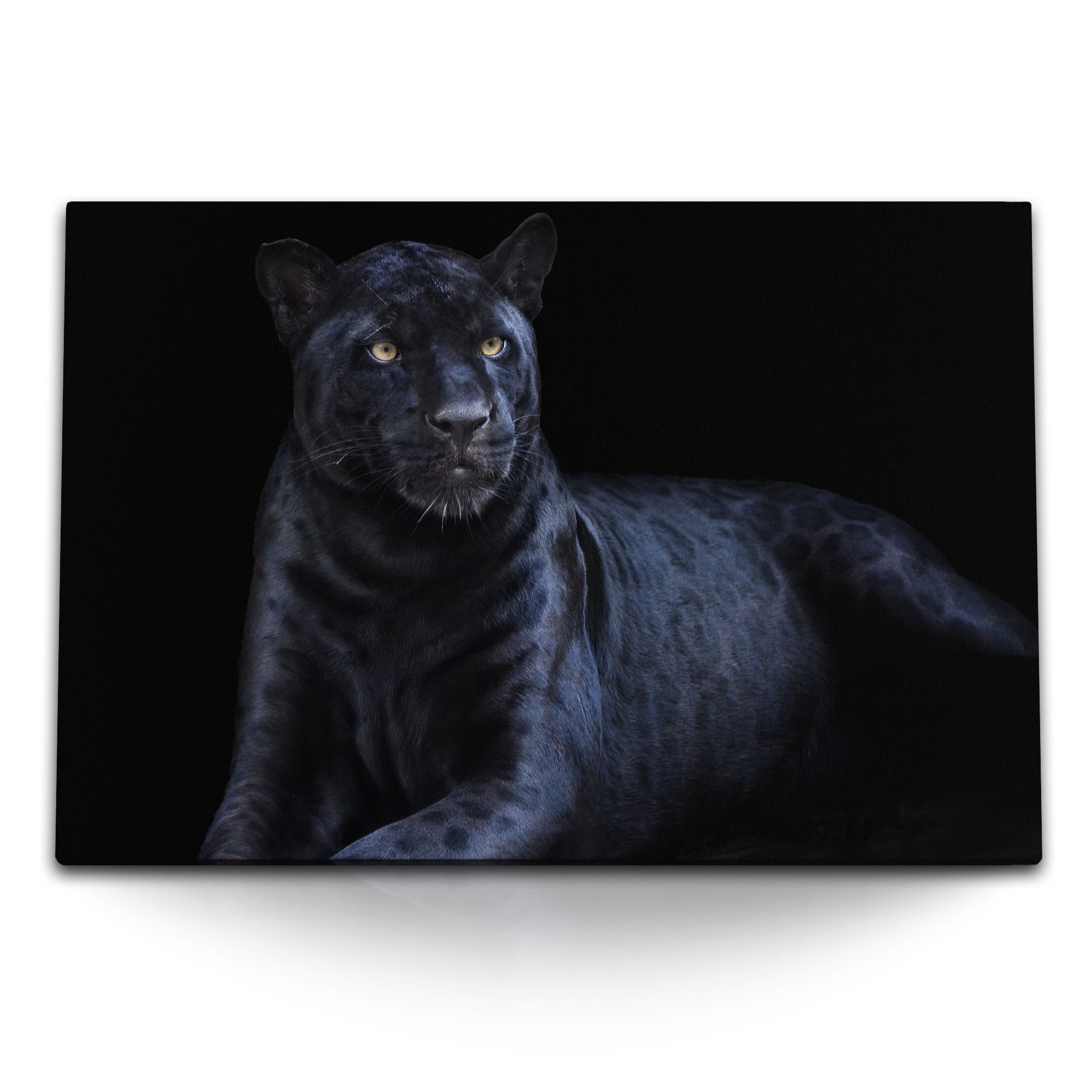 Leinwandbild 120x80cm Wandbild auf Leinwand Schwarzer Panther Jaguar Tierfotografie
