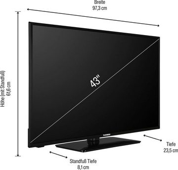 Telefunken D43F553M1 LED-Fernseher (108 cm/43 Zoll, Full HD)