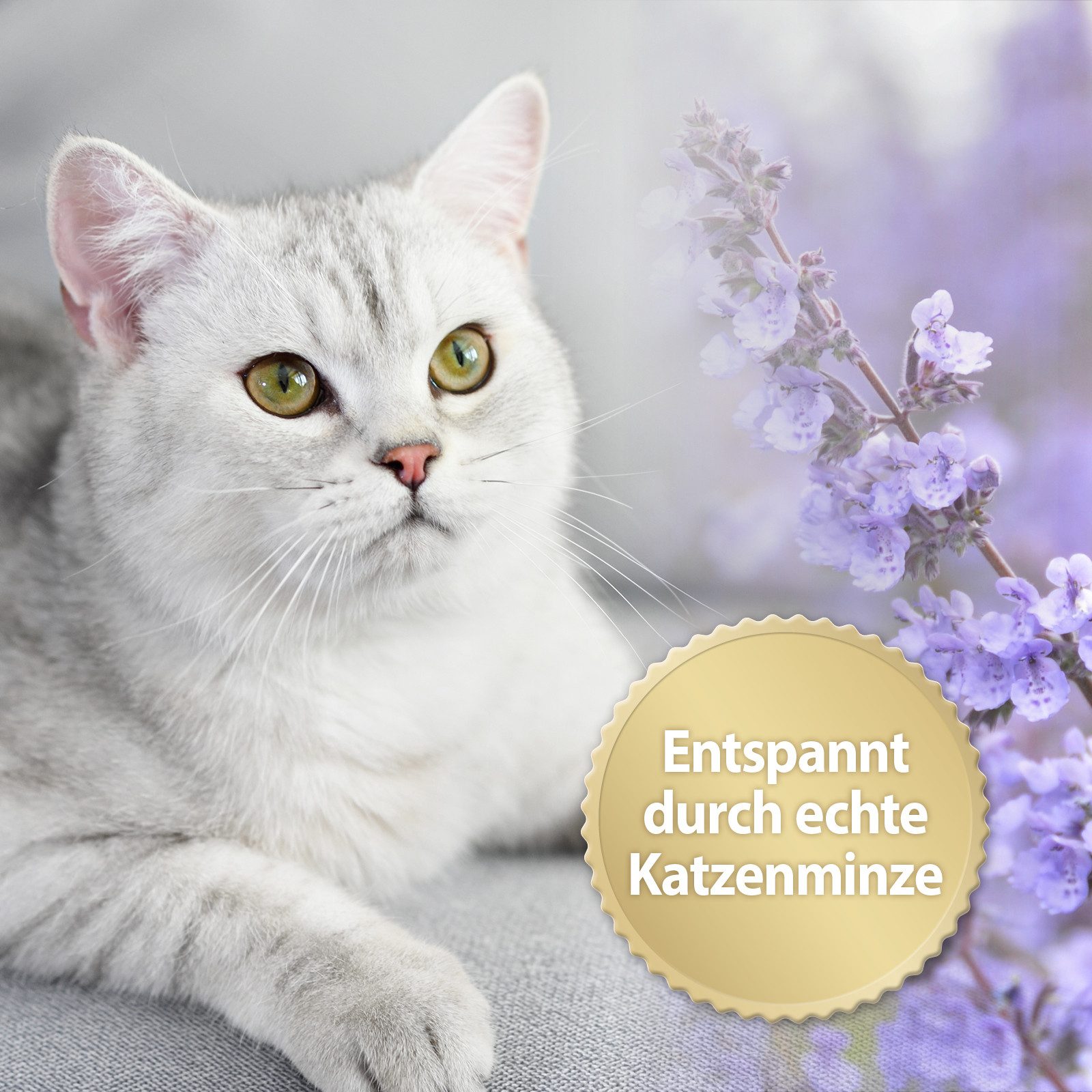 Felisept Katzenstreu Felisept Home Comfort Beruhigungsspray 100ml