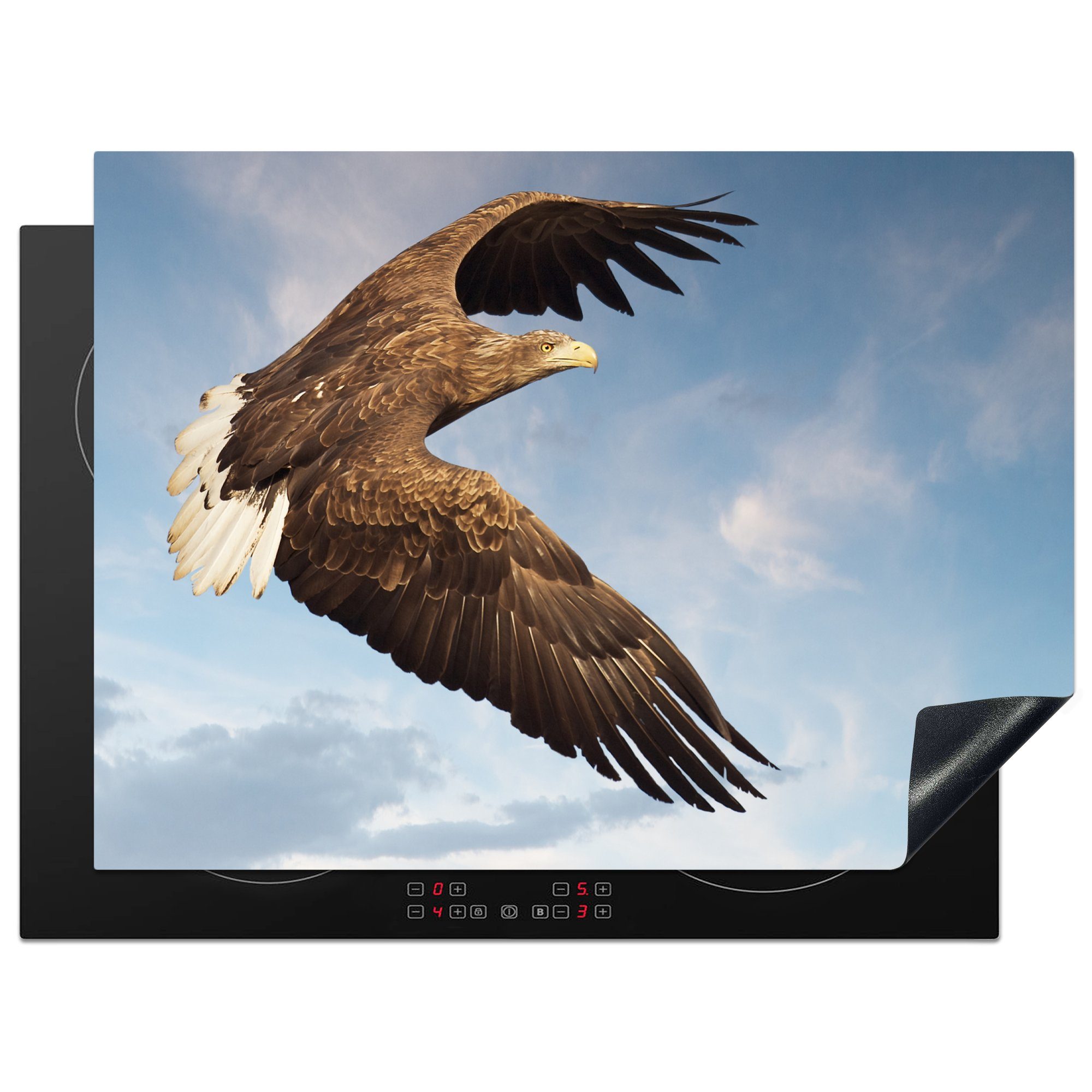 MuchoWow Herdblende-/Abdeckplatte Fliegender Europäischer Seeadler, Vinyl, (1 tlg), 70x52 cm, Mobile Arbeitsfläche nutzbar, Ceranfeldabdeckung | Herdabdeckplatten