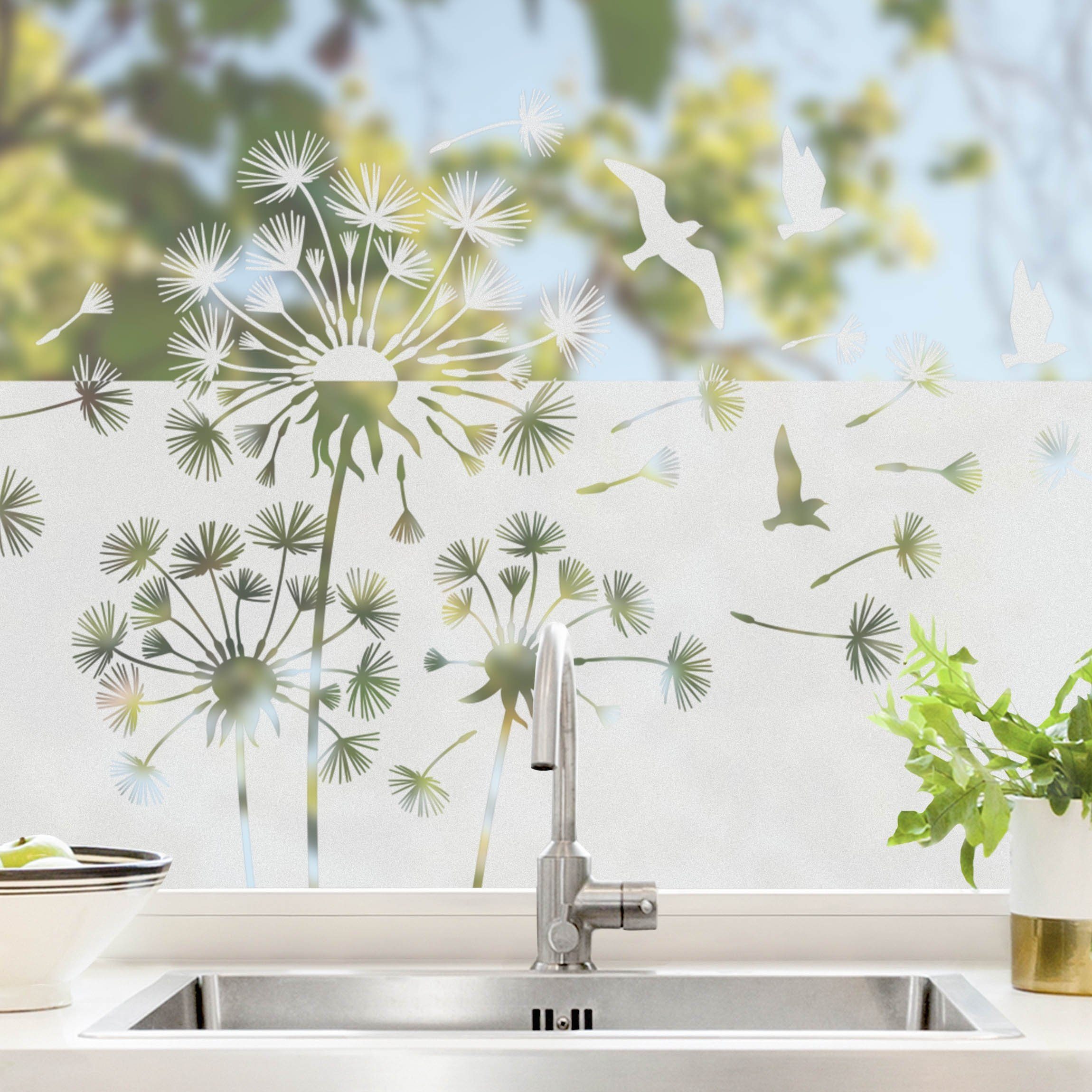 Bilderdepot24 Fensterfolie statisch haftend Motiv Fensterdeko Pusteblumen V günstig online kaufen