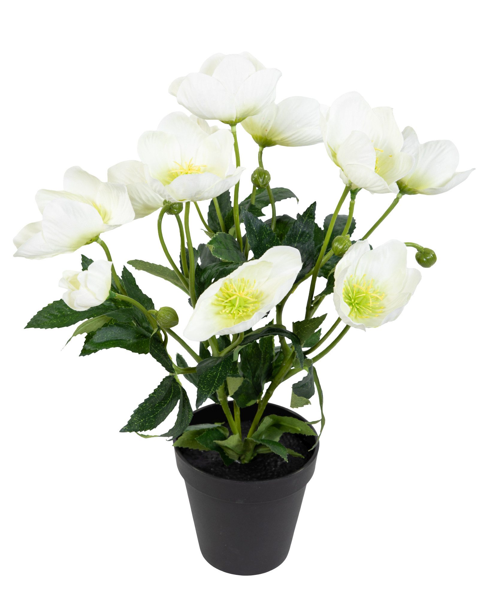 Kunstblume Christrosenbusch im Topf PM Kunstpflanzen künstliche Blumen Chri günstig online kaufen