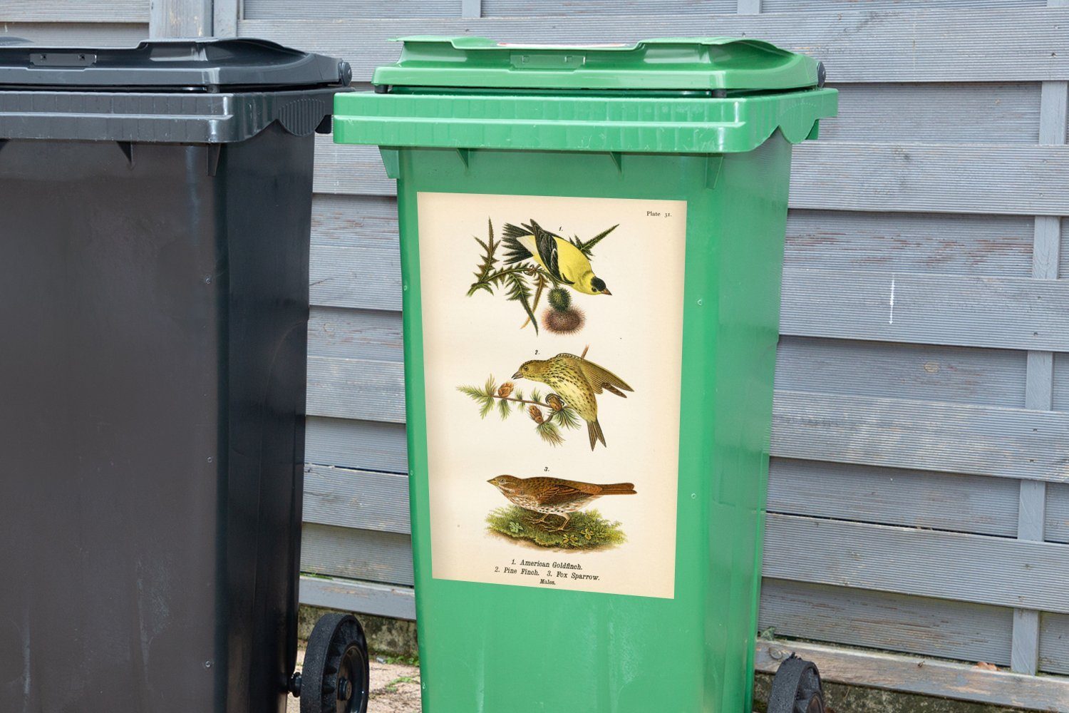 MuchoWow Container, St), Mülleimer-aufkleber, Mülltonne, Abfalbehälter Wandsticker (1 Antiker Sticker, Vogeldruck