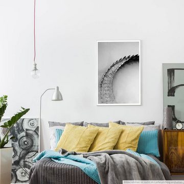 Sinus Art Poster Künstlerische Fotografie  Schwanz eines Salzwasserkrokodils schwarz weiß 60x90cm Poster
