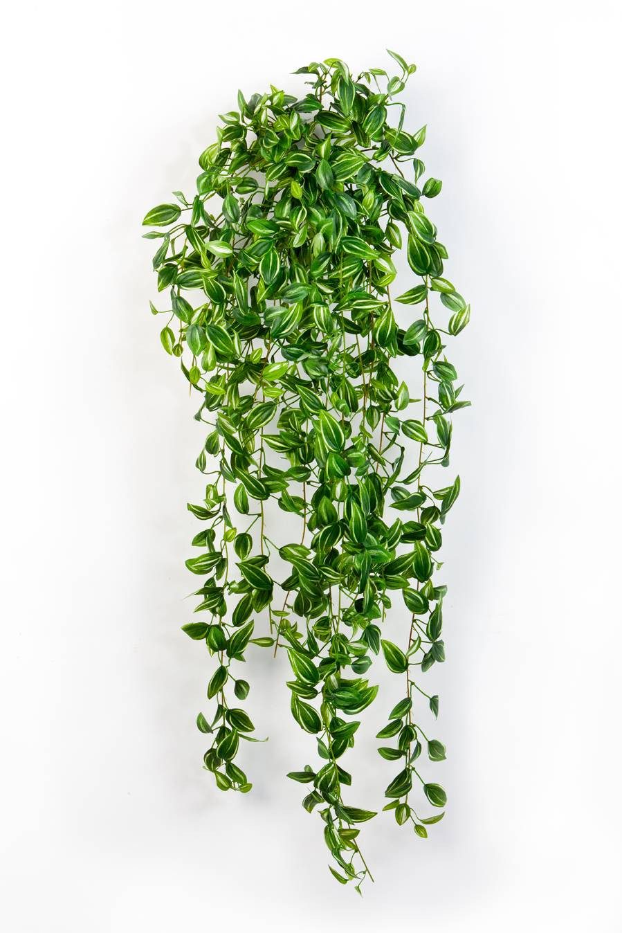 Künstliche Zimmerpflanze Deko Tradescantia Zebrina, 700 Blätter, grün-weiß, 85cm - Kunstpflanze Tradescantia (Tradescantia zebrina), artplants, Höhe 90.0 cm