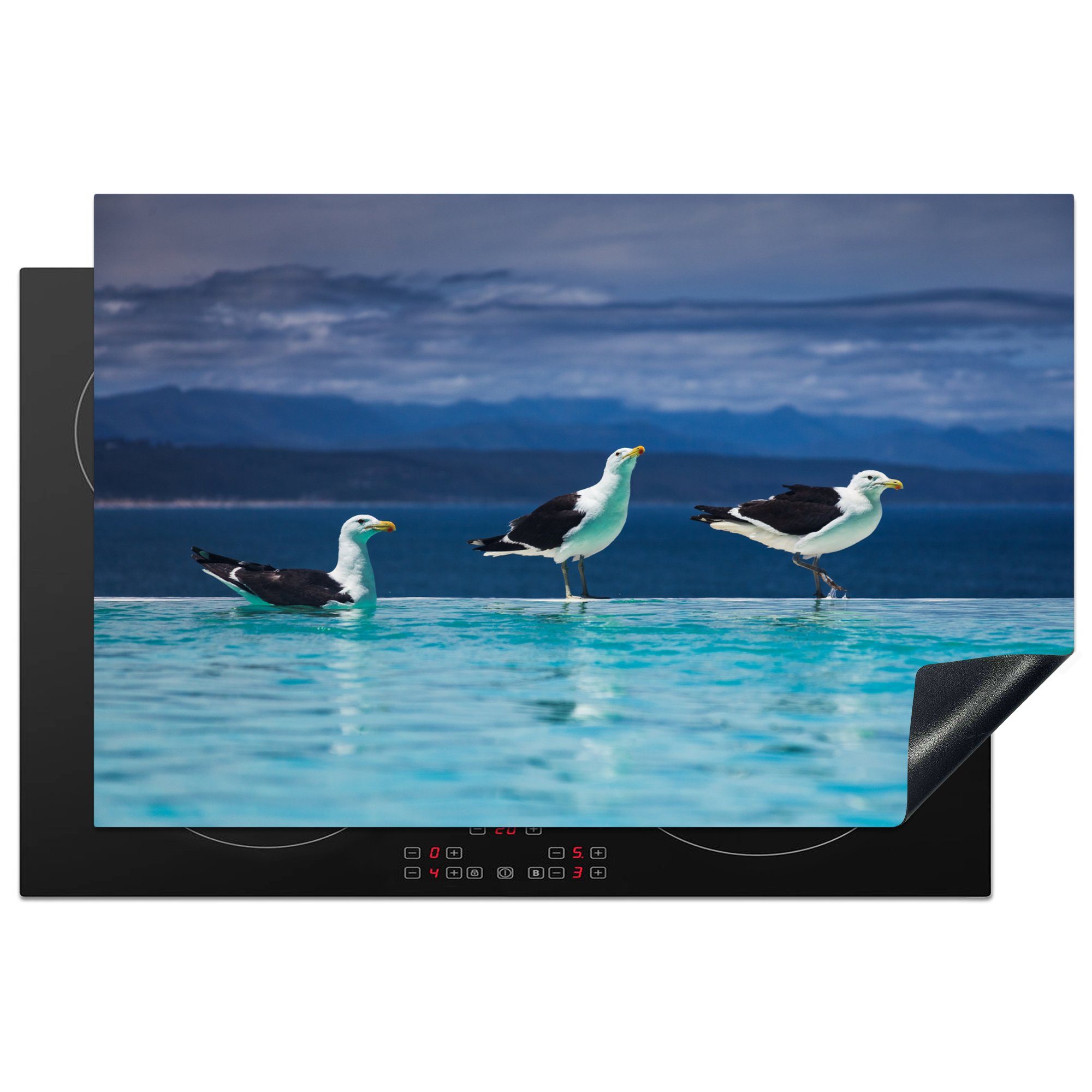 MuchoWow Herdblende-/Abdeckplatte Möwen - Vögel - Pool, Vinyl, (1 tlg), 81x52 cm, Induktionskochfeld Schutz für die küche, Ceranfeldabdeckung | Herdabdeckplatten