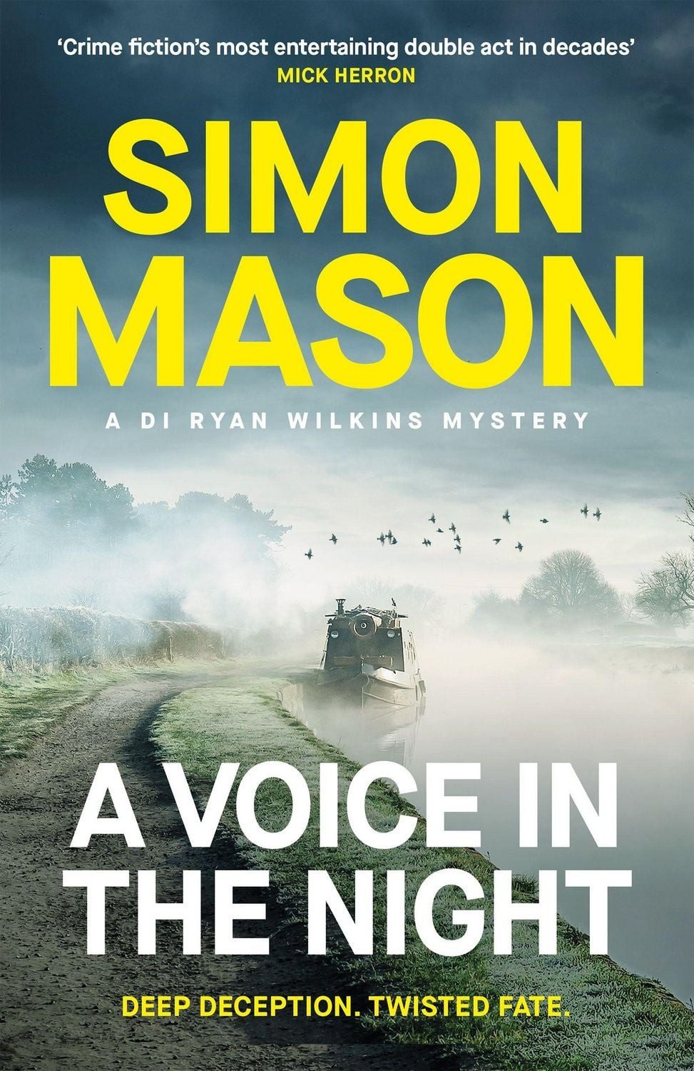A Voice in the Night / Simon Mason