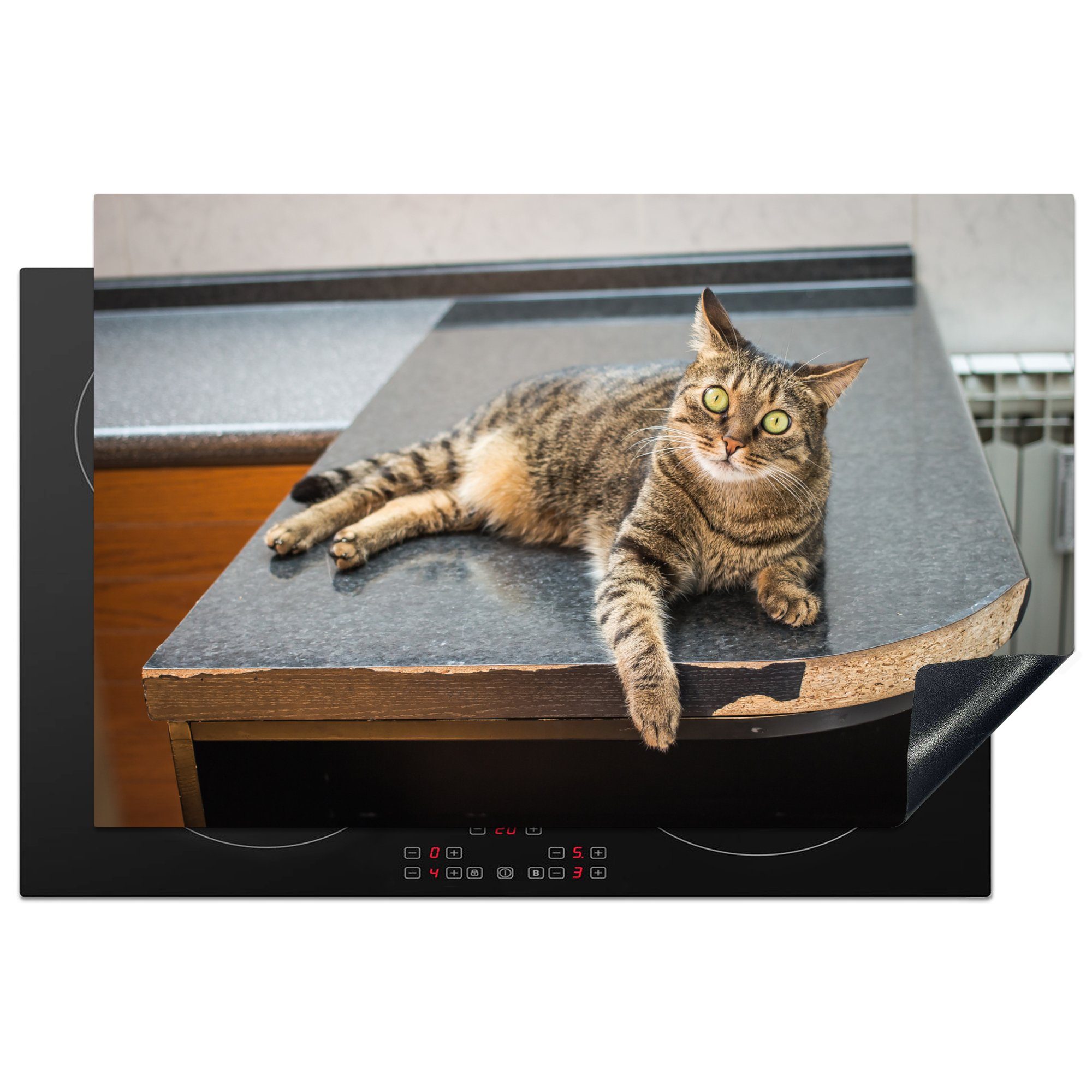 MuchoWow Herdblende-/Abdeckplatte Eine Tigerkatze auf einem Holztisch liegend, Vinyl, (1 tlg), 81x52 cm, Induktionskochfeld Schutz für die küche, Ceranfeldabdeckung