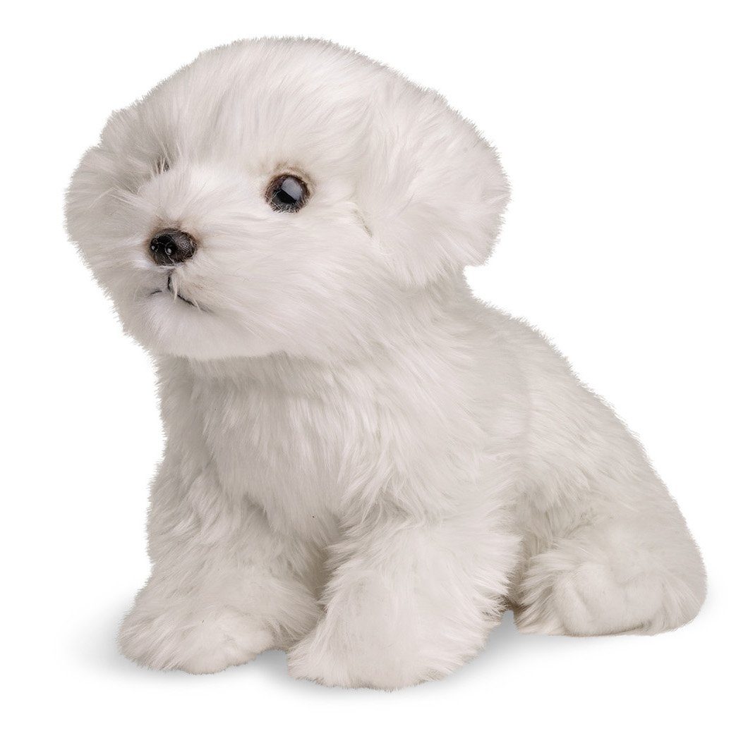 Uni-Toys Kuscheltier Malteser (ohne Leine) - 26 cm (Länge) - Plüsch-Hund - Plüschtier, zu 100 % recyceltes Füllmaterial