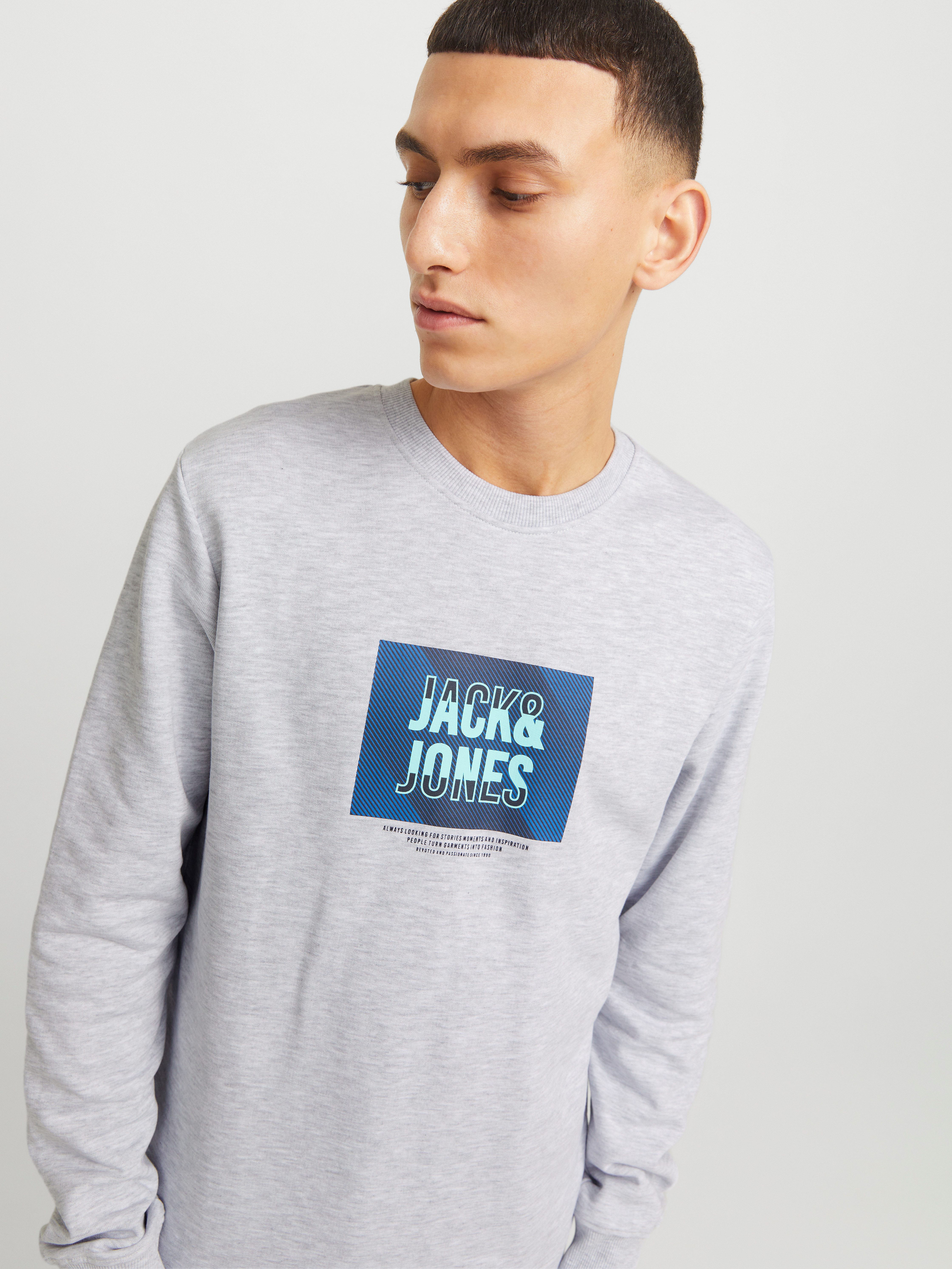Jack & Jones Sweatshirt JJHUDSON – Sweatshirt mit Print, Rundhals und Kapuze Print, modisch, regular fit, angeraute Sweatware, Rundhals
