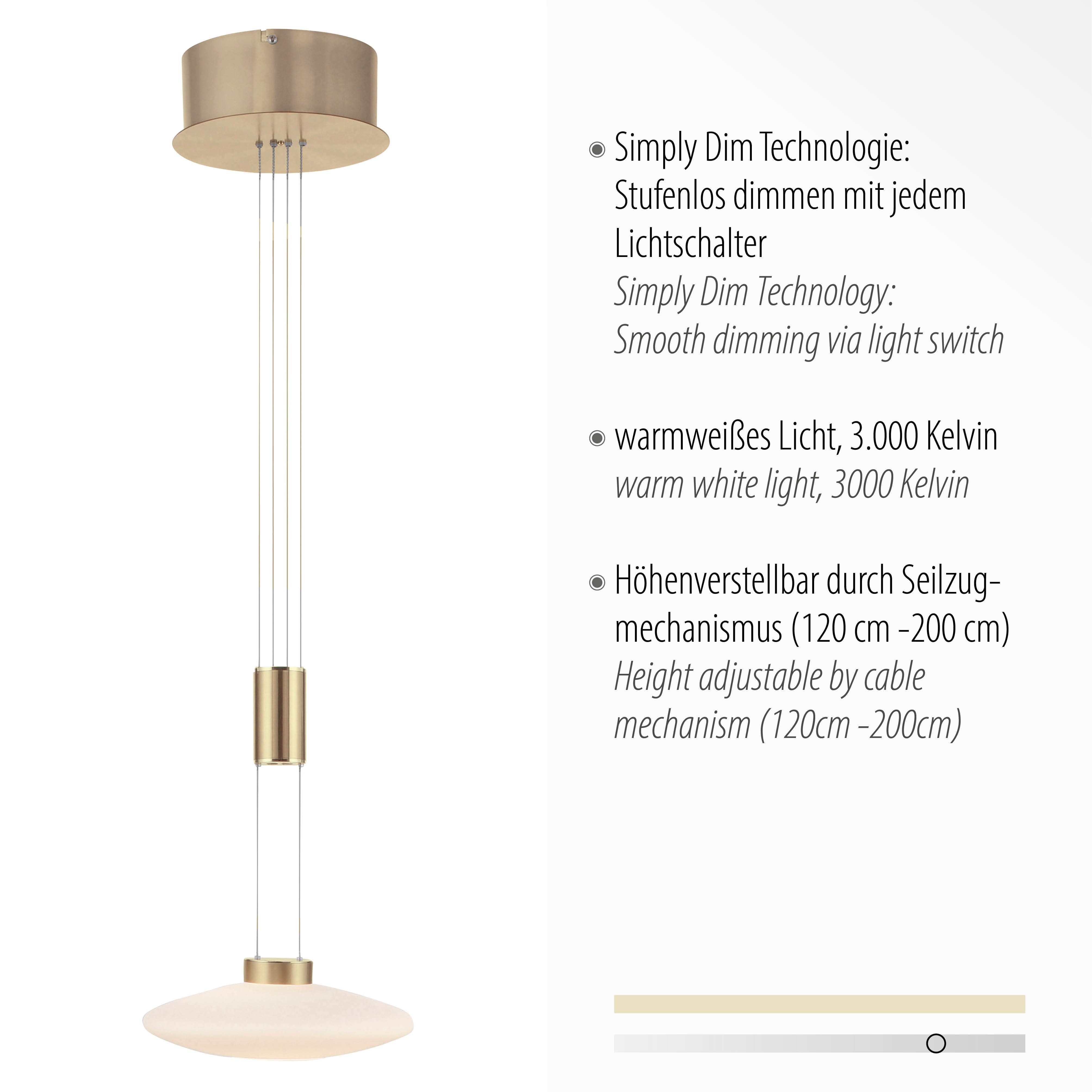 Paul Neuhaus fest integriert, Dim, vom LED Simply Pendelleuchte Netz LED, dimmbar, Warmweiß, Memory, nach Trennung LAUTADA