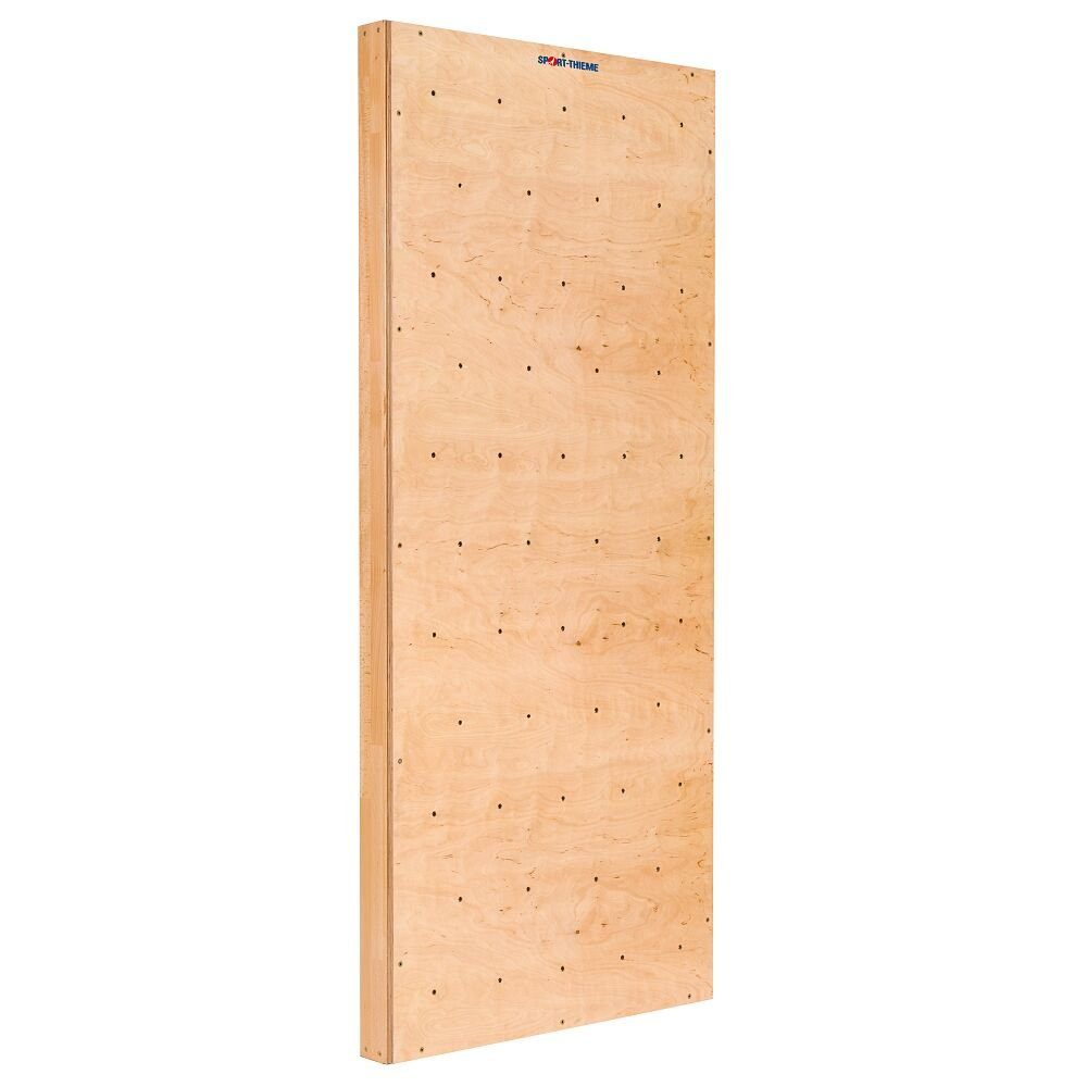 Sprossenwand Turnwand-Einzelelement TuWa Kletterwand ohne Griffe