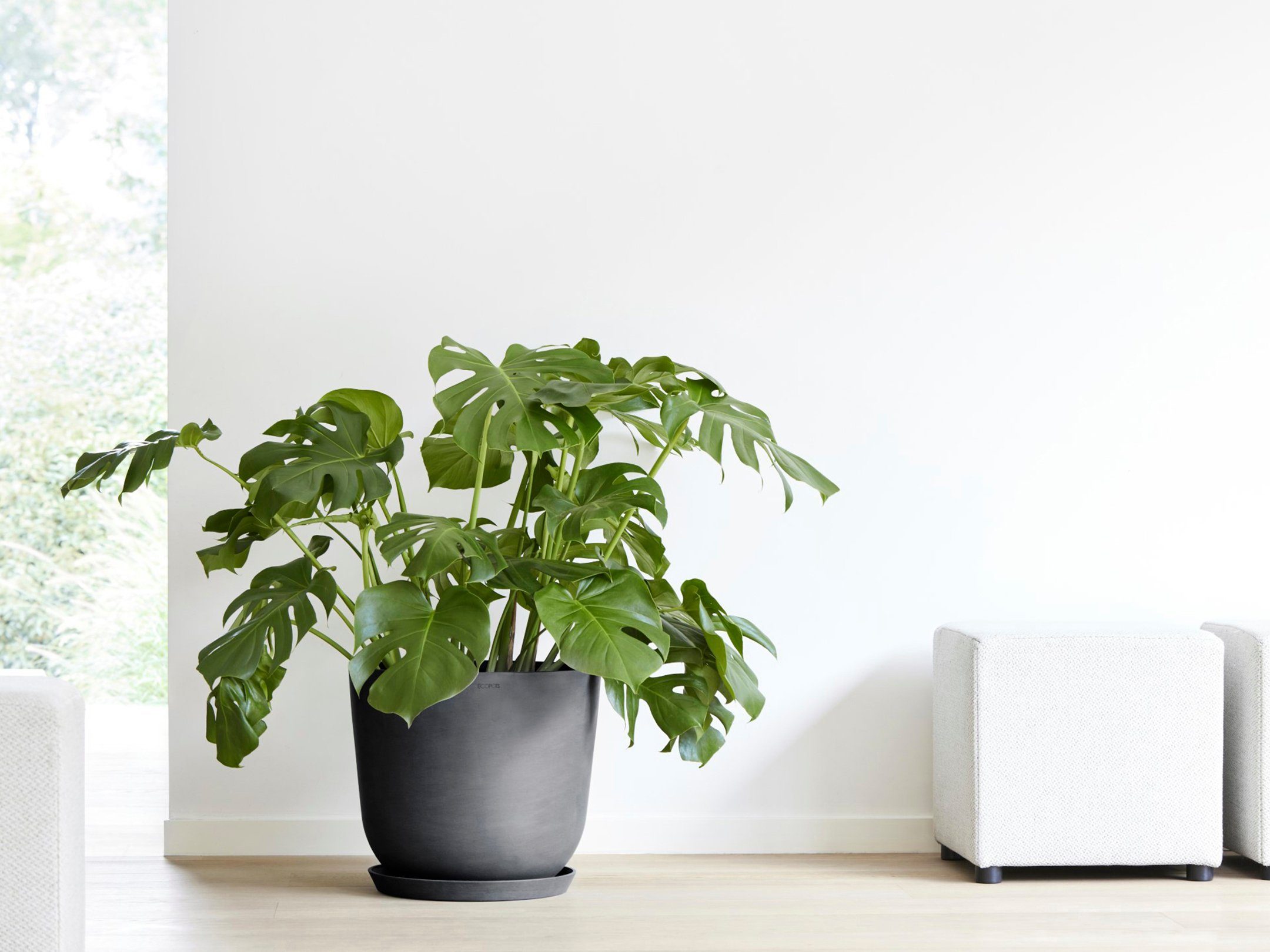 ECOPOTS Blumentopf Oslo 45 + Wassersystem Dunkelgrau, für innen und außen: günstig online kaufen