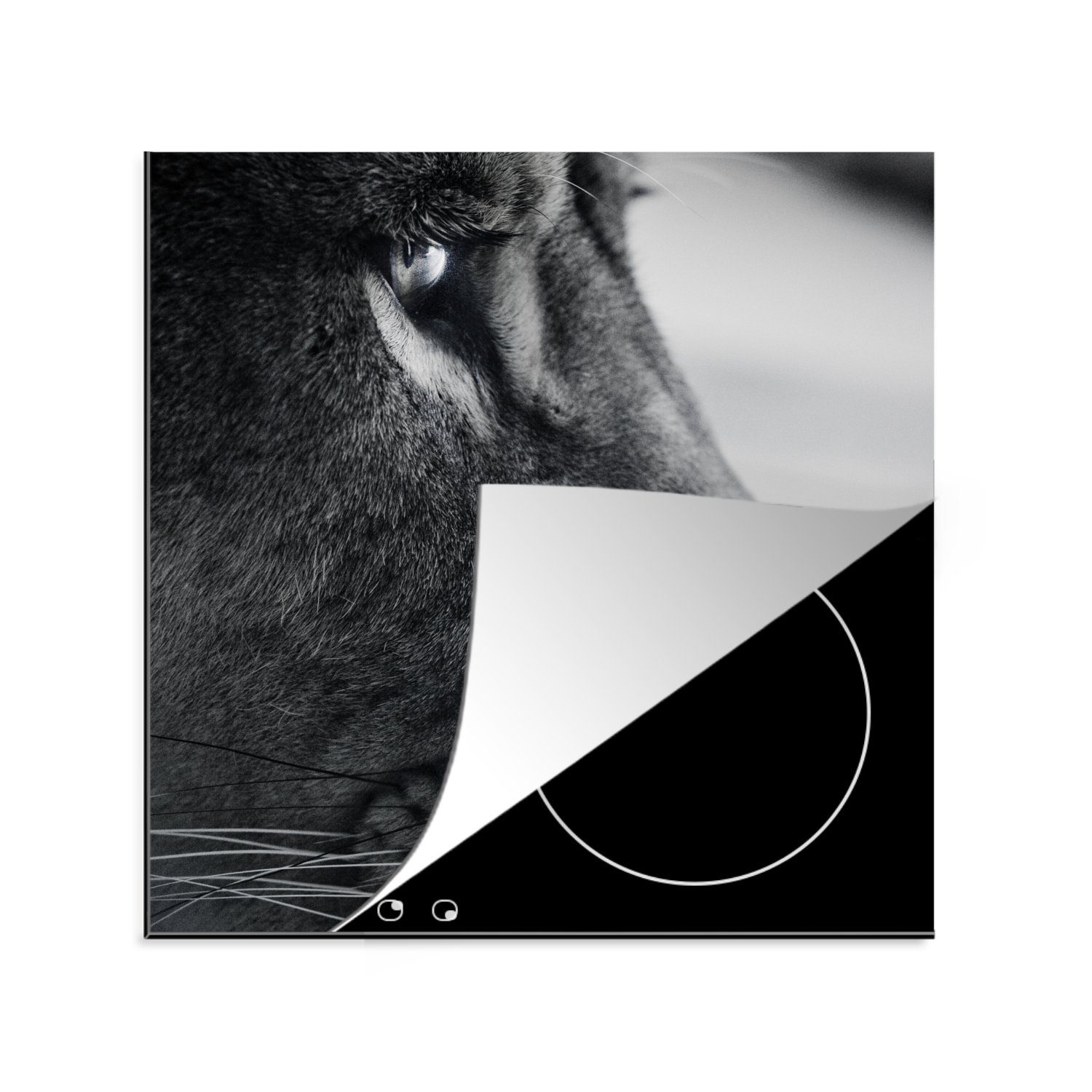 MuchoWow Herdblende-/Abdeckplatte Tierprofil Löwe in schwarz und weiß, Vinyl, (1 tlg), 78x78 cm, Ceranfeldabdeckung, Arbeitsplatte für küche
