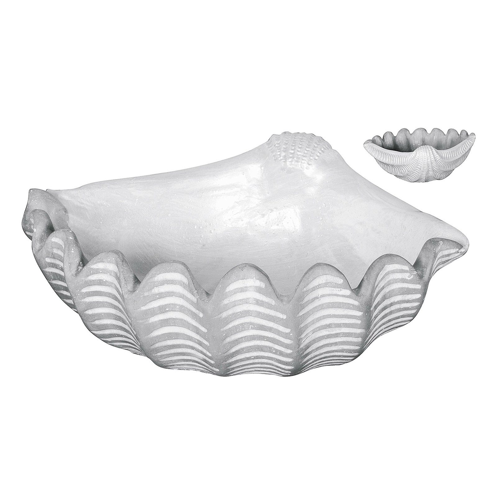 HTI-Living Dekoschale Deko-Schale Muschel