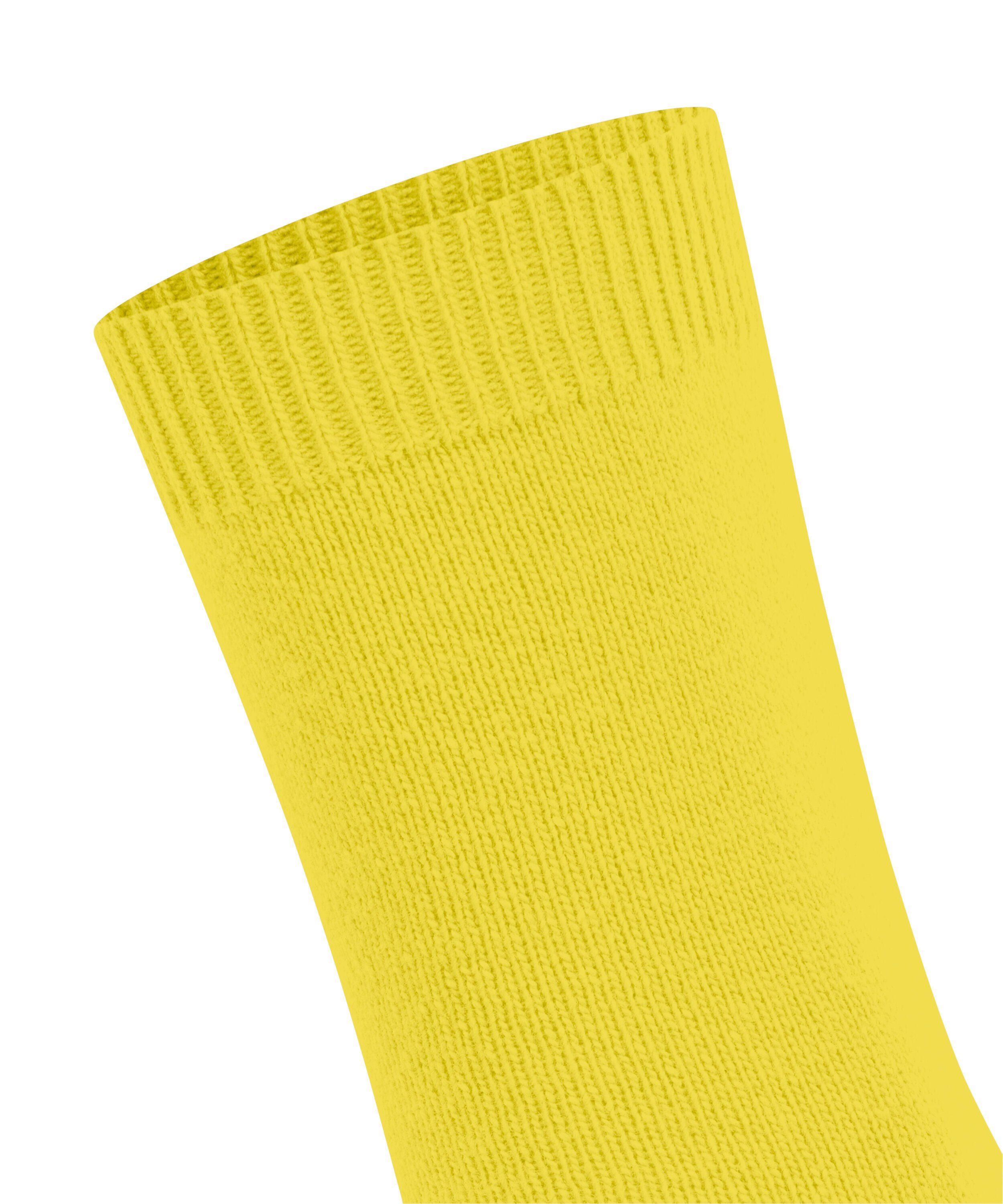 FALKE Socken Cosy Wool Socken mit Schurwolle und Kaschmir (1-Paar) mit Schurwolle und Kaschmir