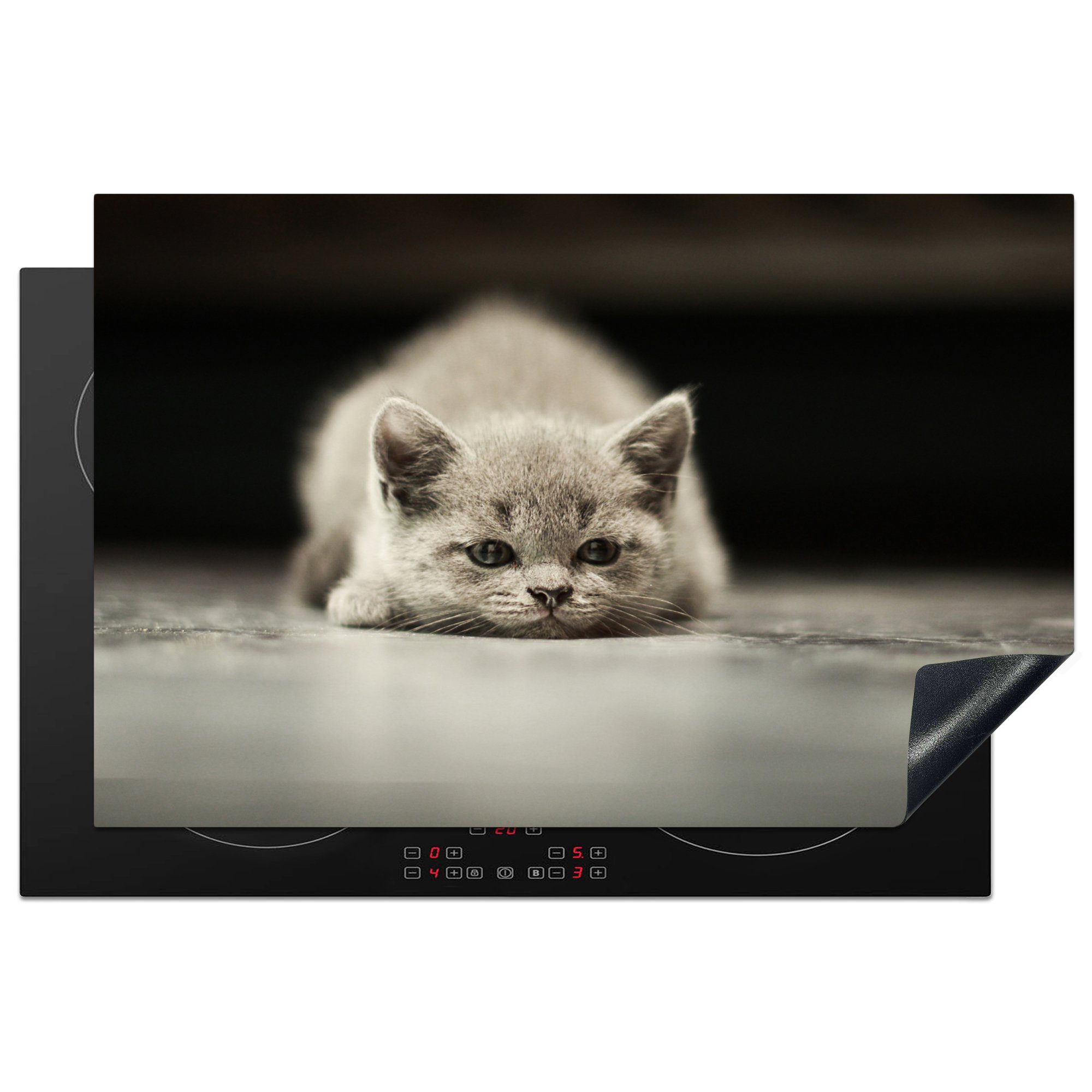 MuchoWow Herdblende-/Abdeckplatte Katze - Boden - Schwarz, Vinyl, (1 tlg), 81x52 cm, Induktionskochfeld Schutz für die küche, Ceranfeldabdeckung
