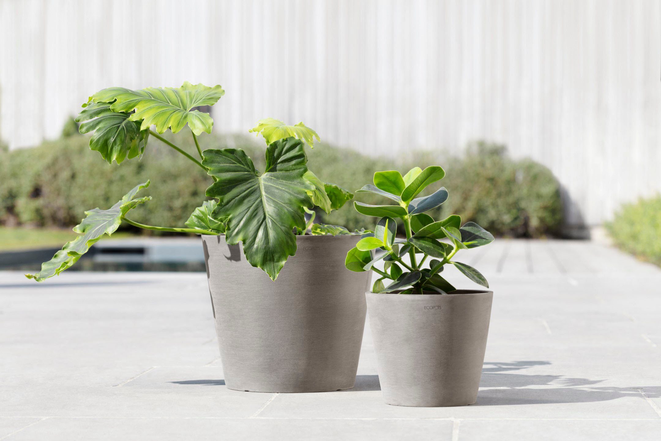 ECOPOTS Blumentopf Amsterdam, ØxH: 20x17,5 cm günstig online kaufen
